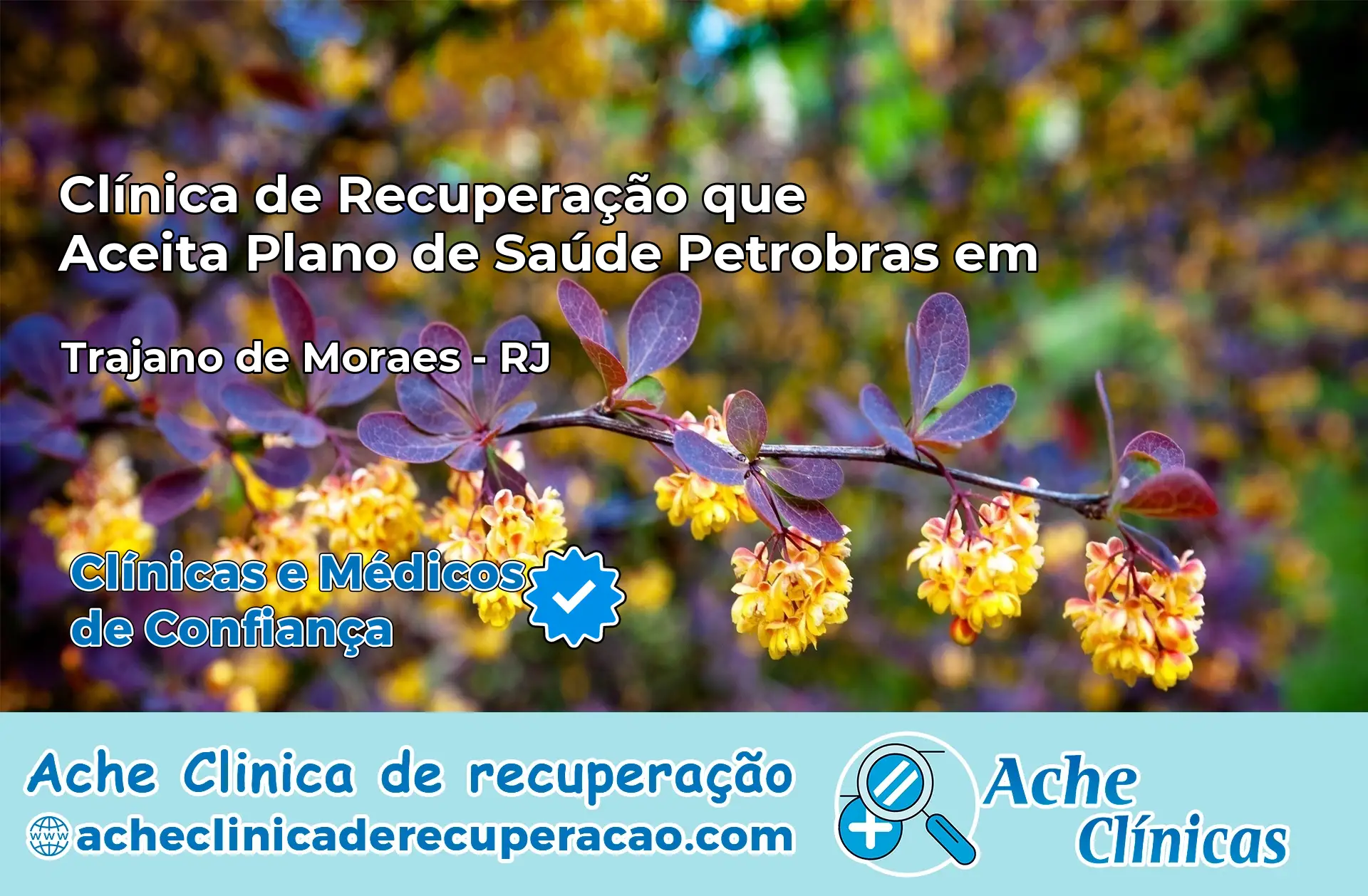 Clínica que Aceita Plano Petrobras em Trajano de Moraes – RJ