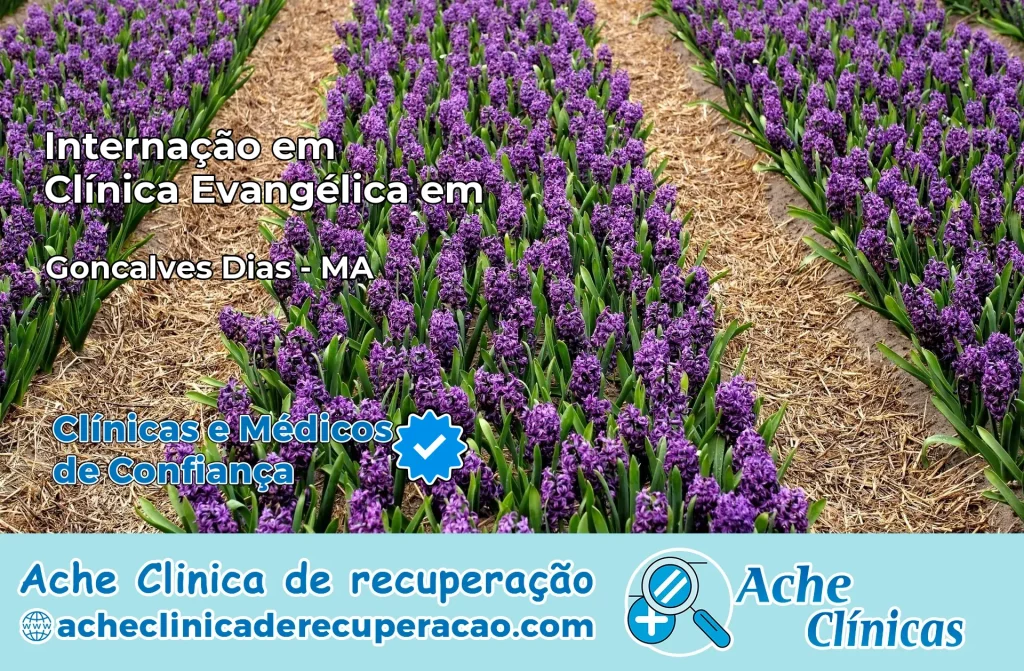 Internação em Clínica Evangélica em Gonçalves Dias – MA