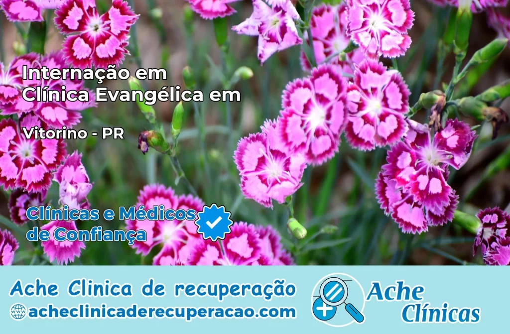 Internação em Clínica Evangélica em Ventania – PR
