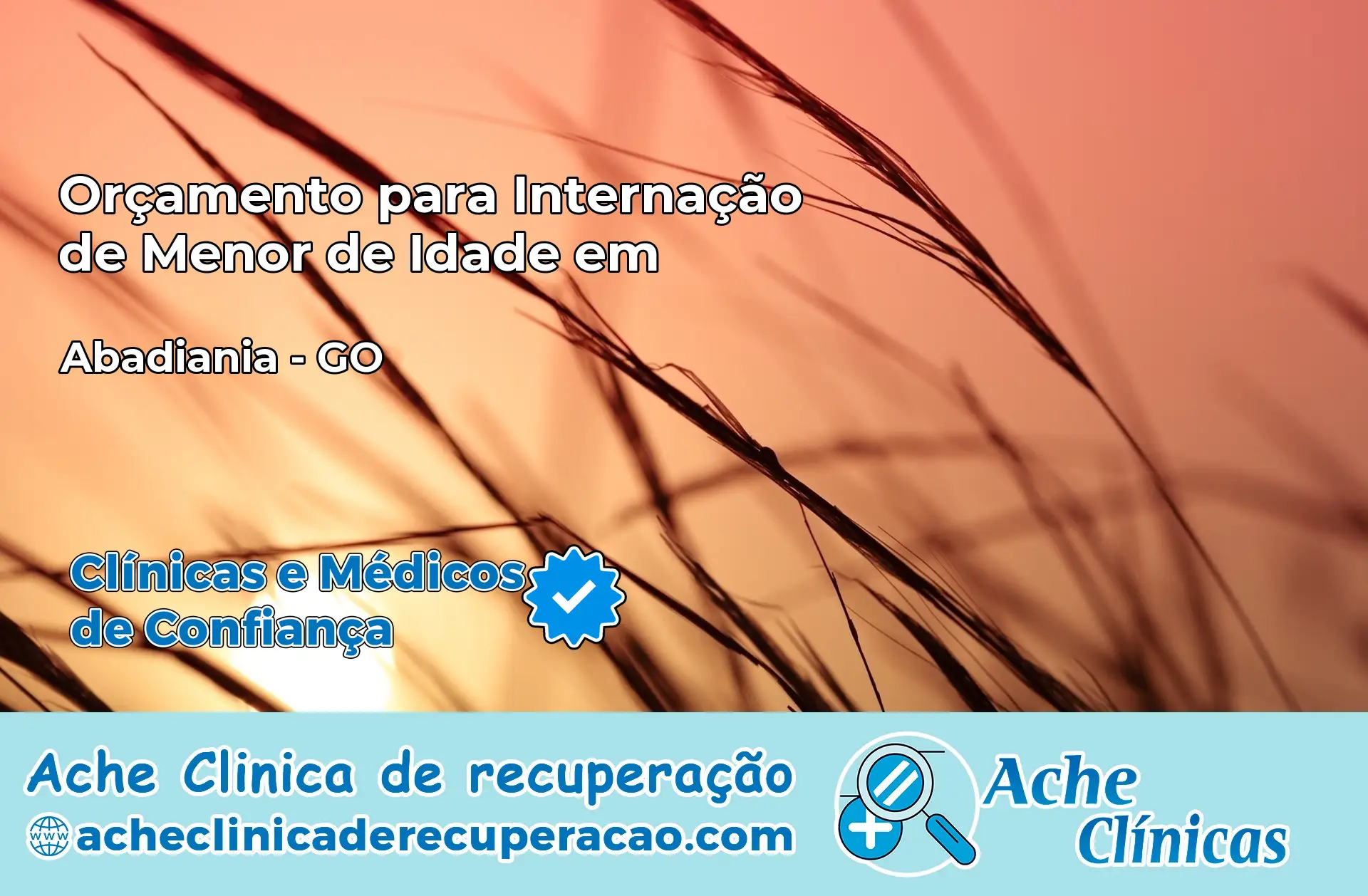 Internação de Menor de Idade em Abadiânia – GO