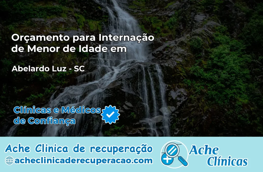 Internação de Menor de Idade em Abelardo Luz – SC