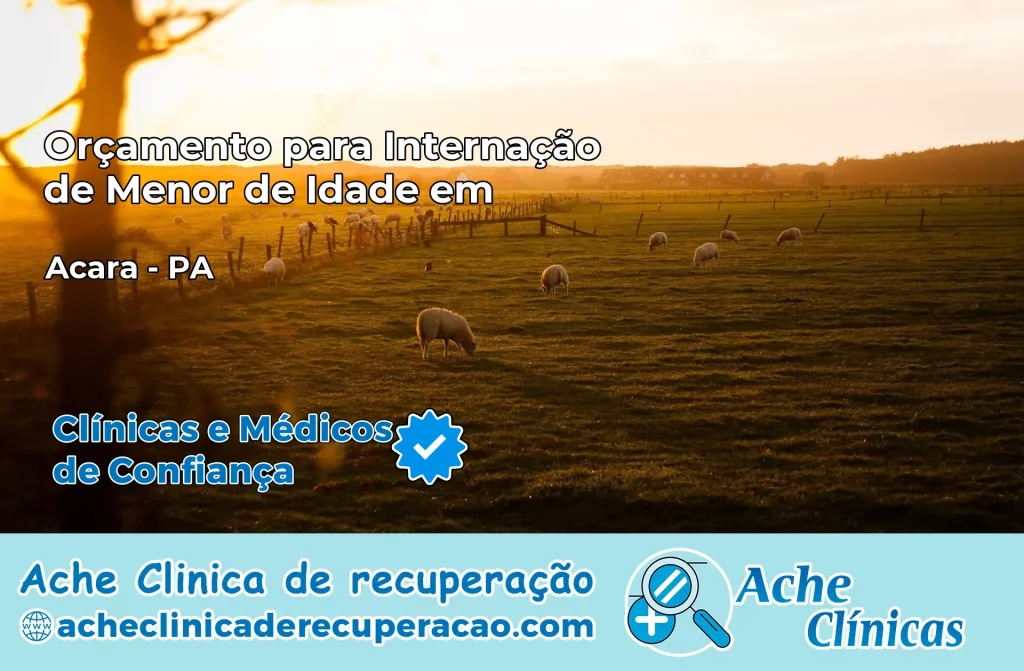 Internação de Menor de Idade em Acará – PA