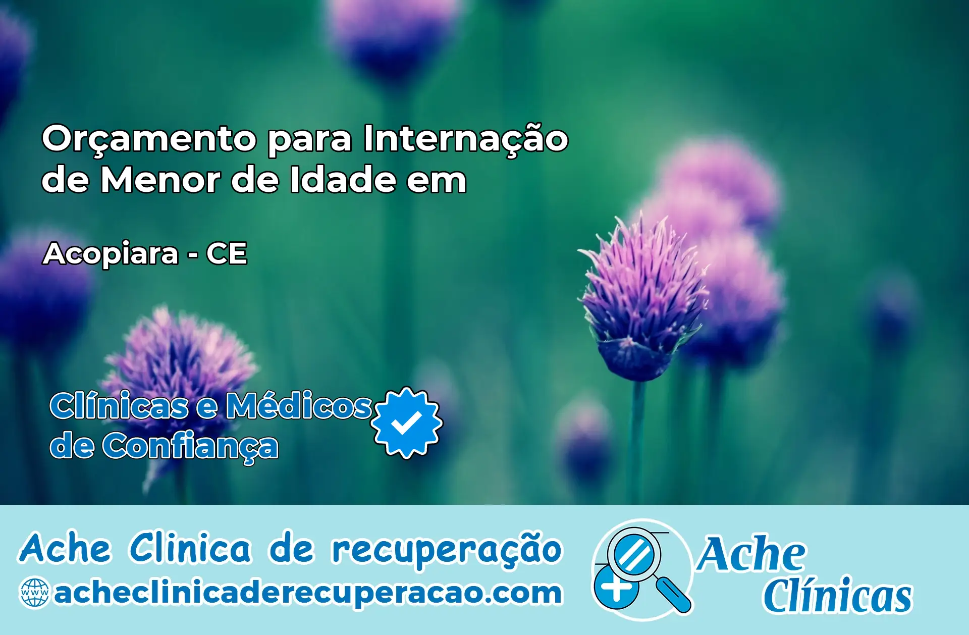 Internação de Menor de Idade em Acopiara – CE
