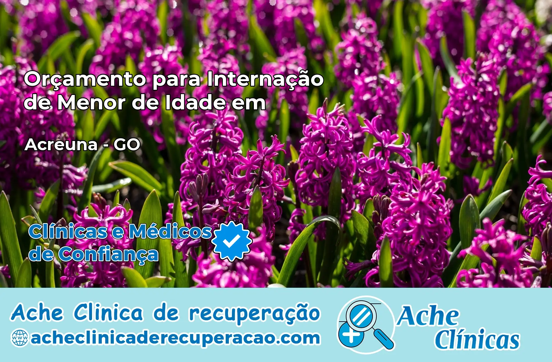 Internação de Menor de Idade em Acreúna – GO
