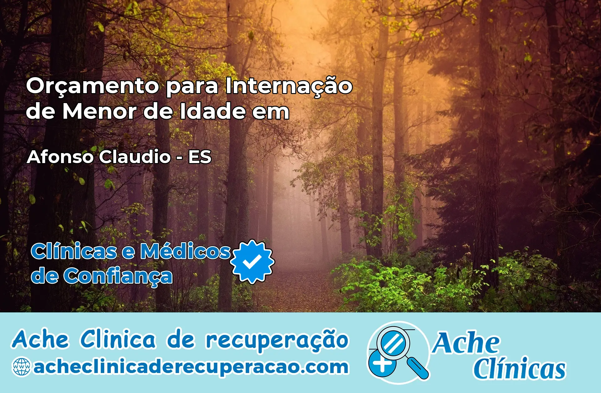 Internação de Menor de Idade em Afonso Cláudio – ES