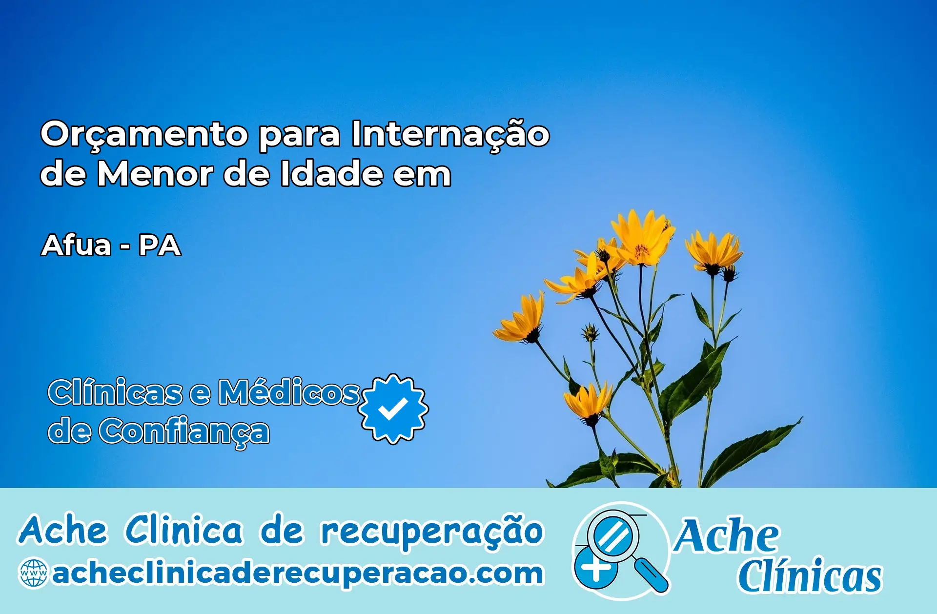 Internação de Menor de Idade em Afuá – PA