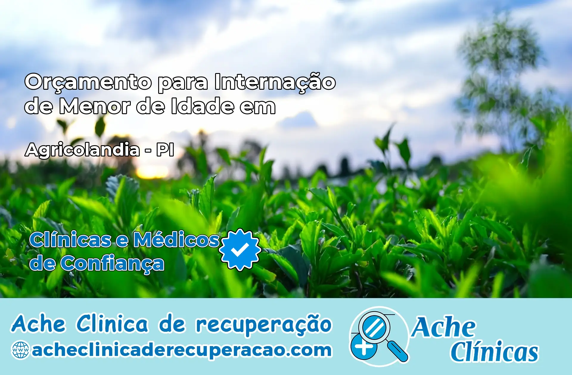 Internação de Menor de Idade em Agricolândia – PI
