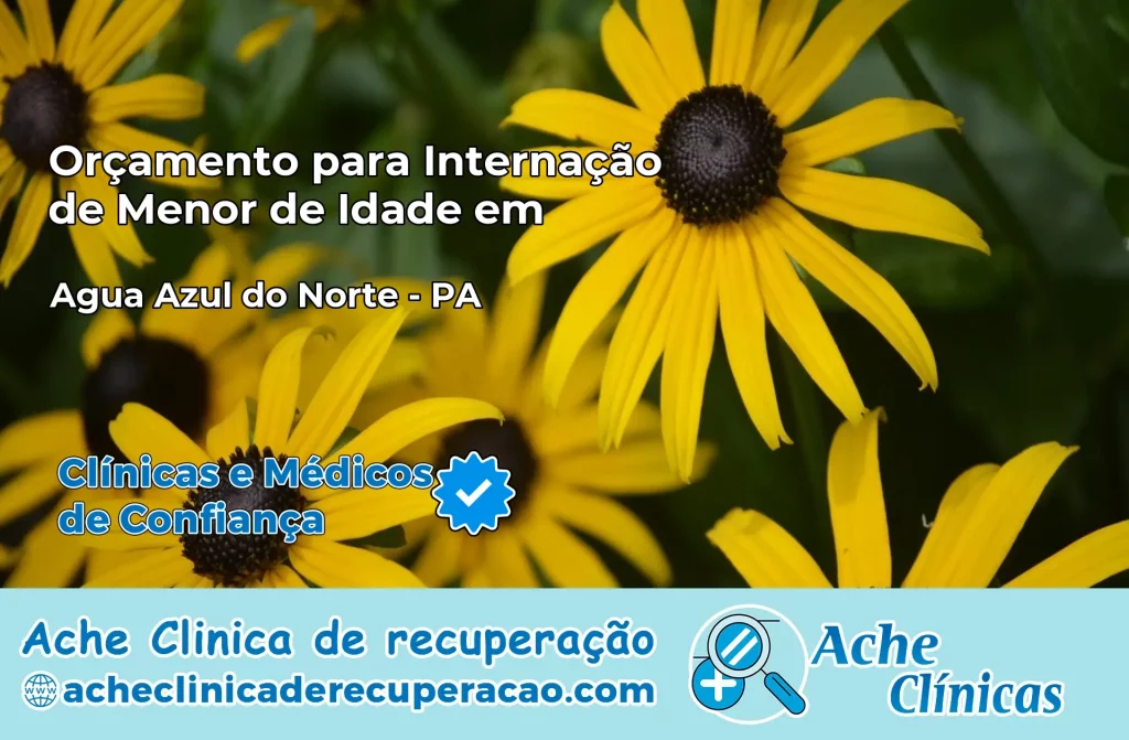 Internação de Menor de Idade em Água Azul do Norte – PA