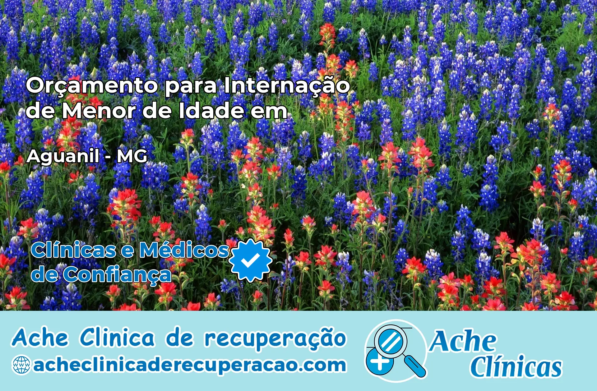 Internação de Menor de Idade em Aguanil – MG