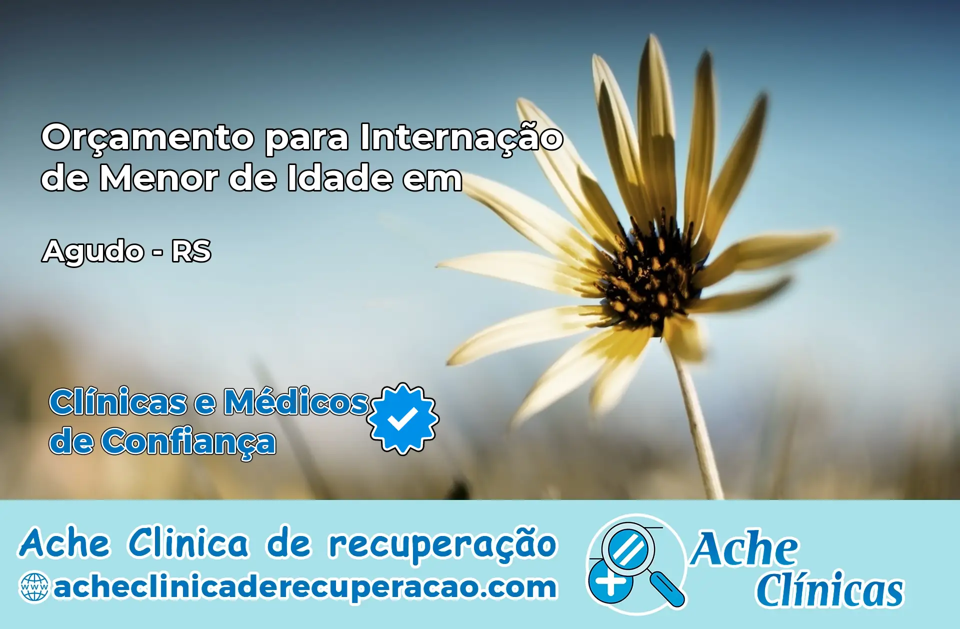 Internação de Menor de Idade em Agudo – RS