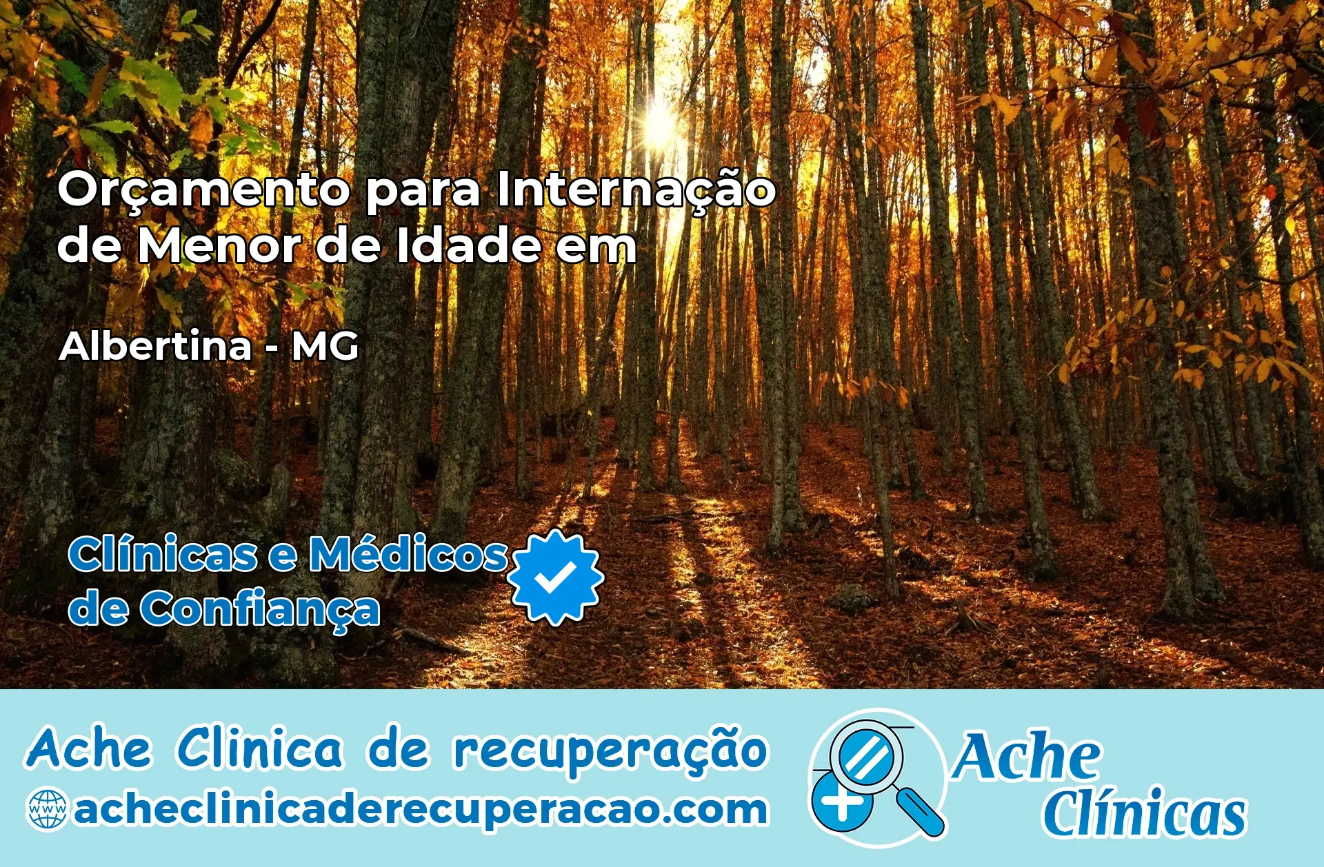 Internação de Menor de Idade em Albertina – MG