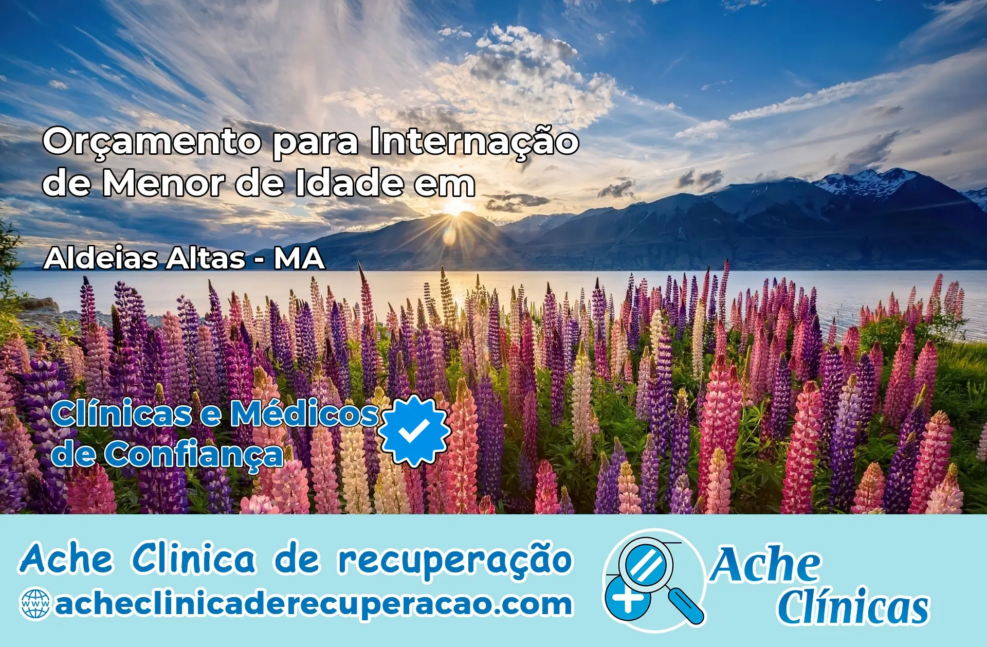 Internação de Menor de Idade em Aldeias Altas – MA