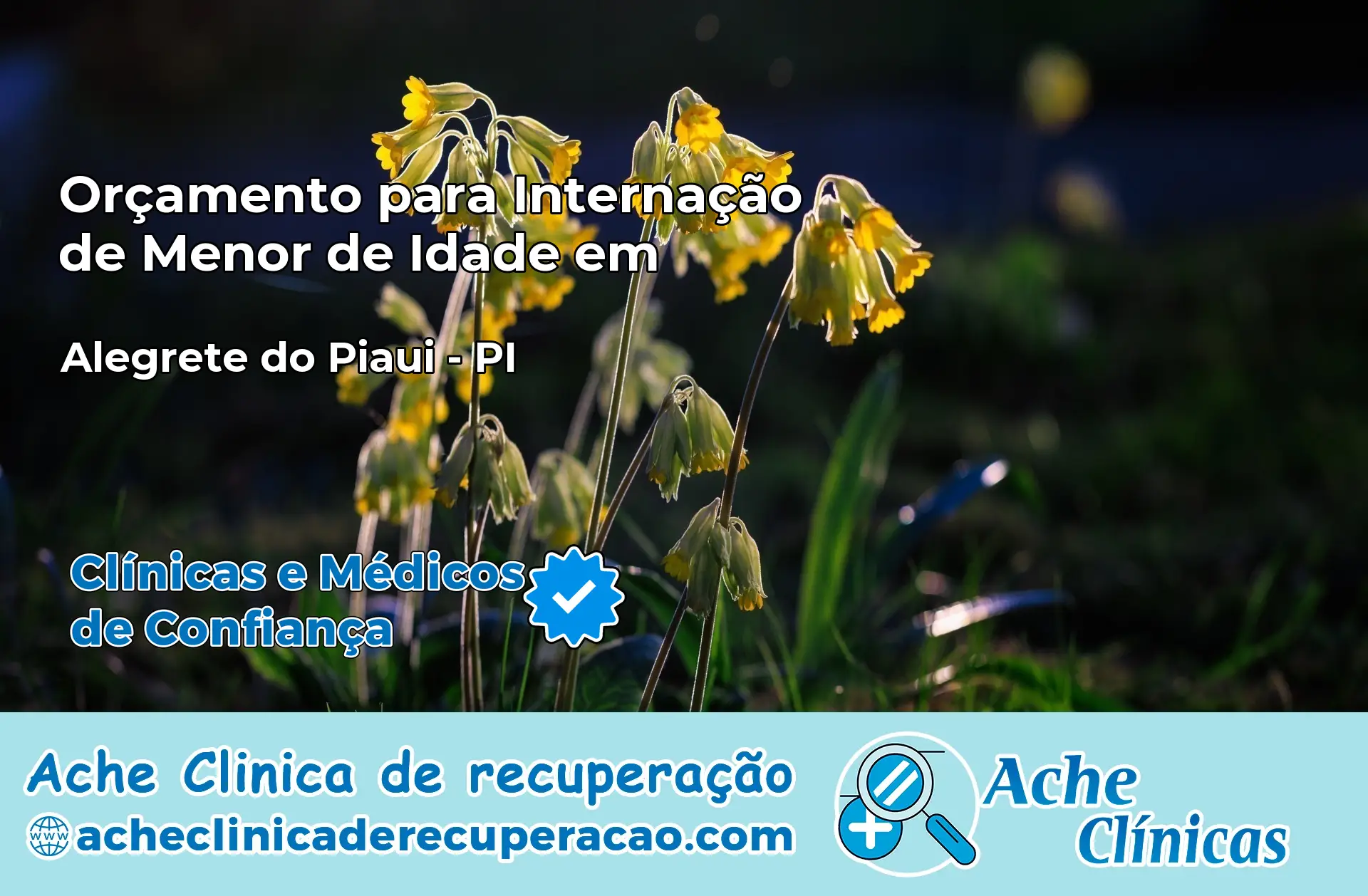 Internação de Menor de Idade em Alegrete do Piauí – PI