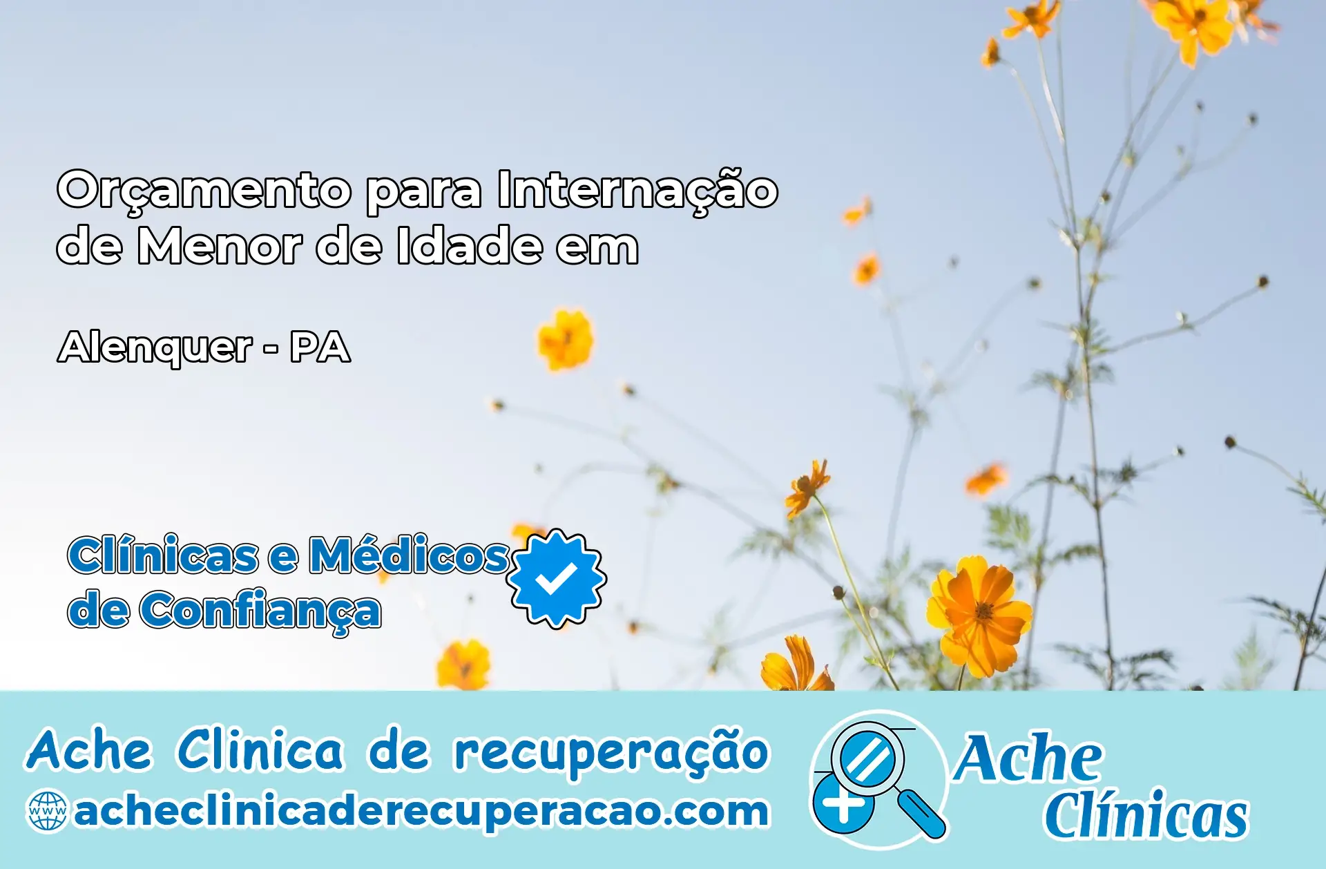 Internação de Menor de Idade em Alenquer – PA