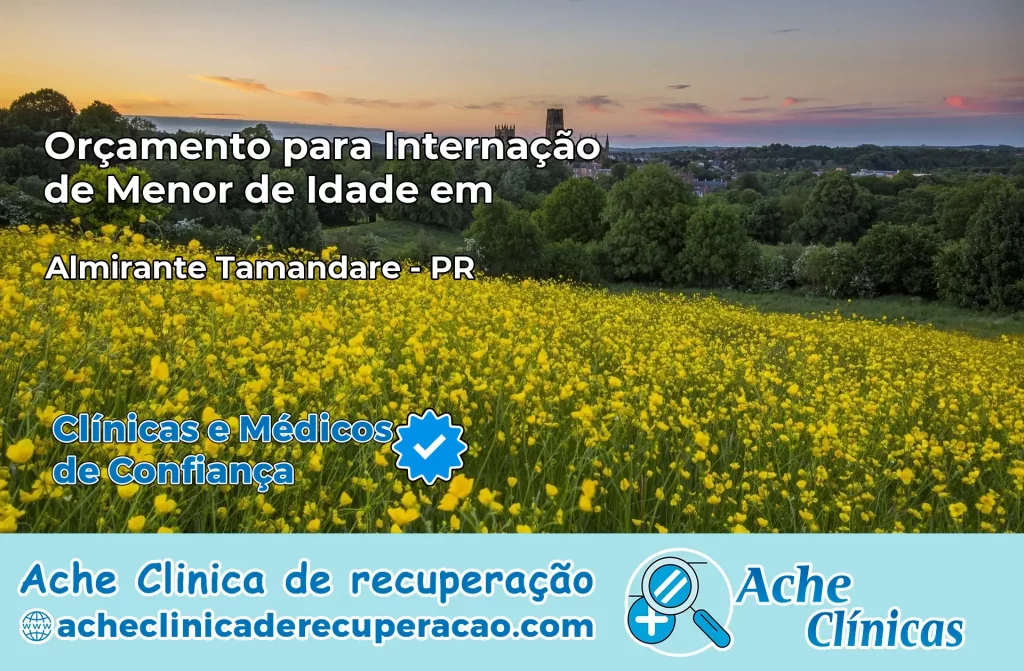 Internação de Menor de Idade em Almirante Tamandaré – PR