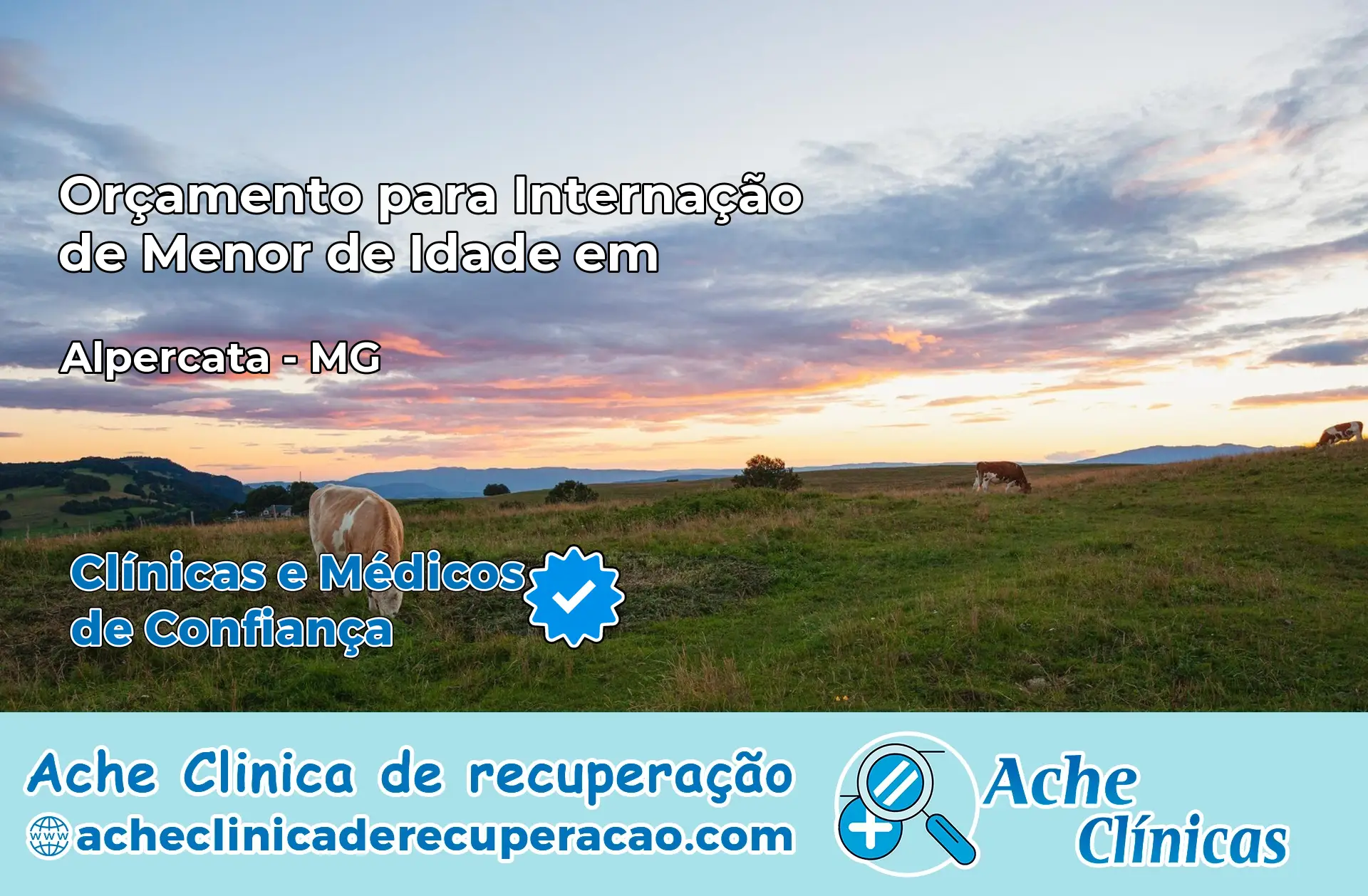 Internação de Menor de Idade em Alpercata – MG