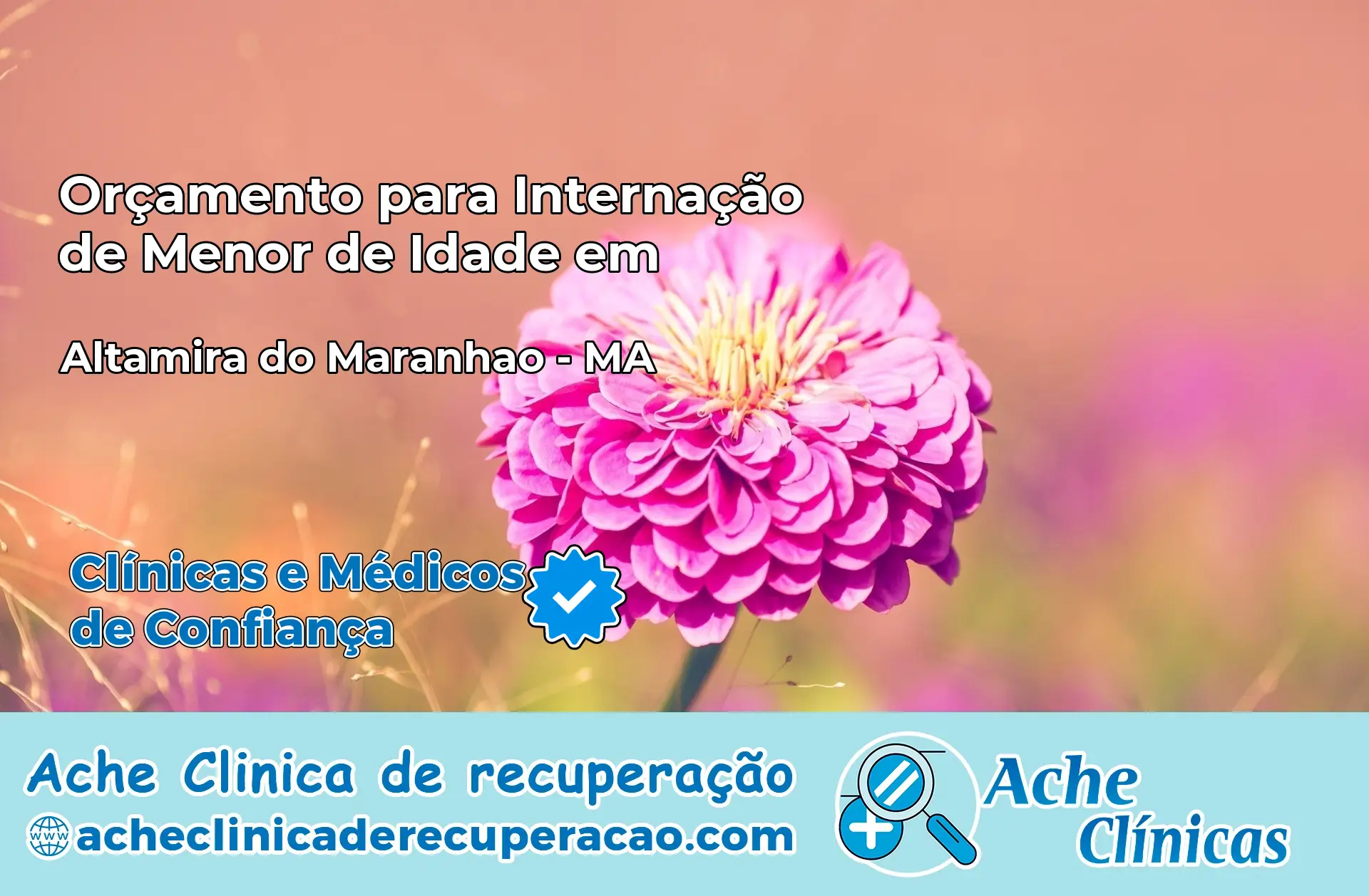Internação de Menor de Idade em Altamira do Maranhão – MA