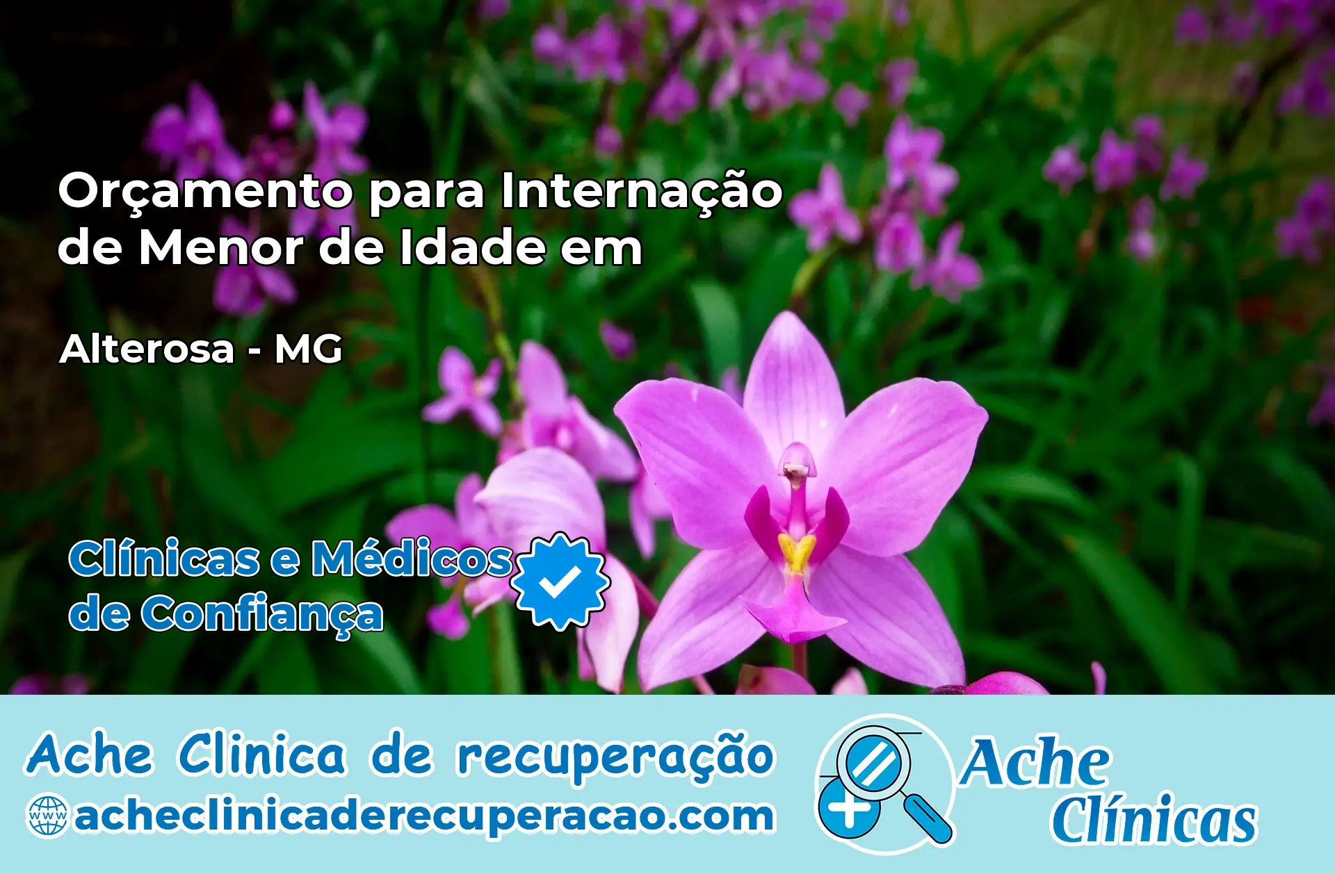 Internação de Menor de Idade em Alterosa – MG