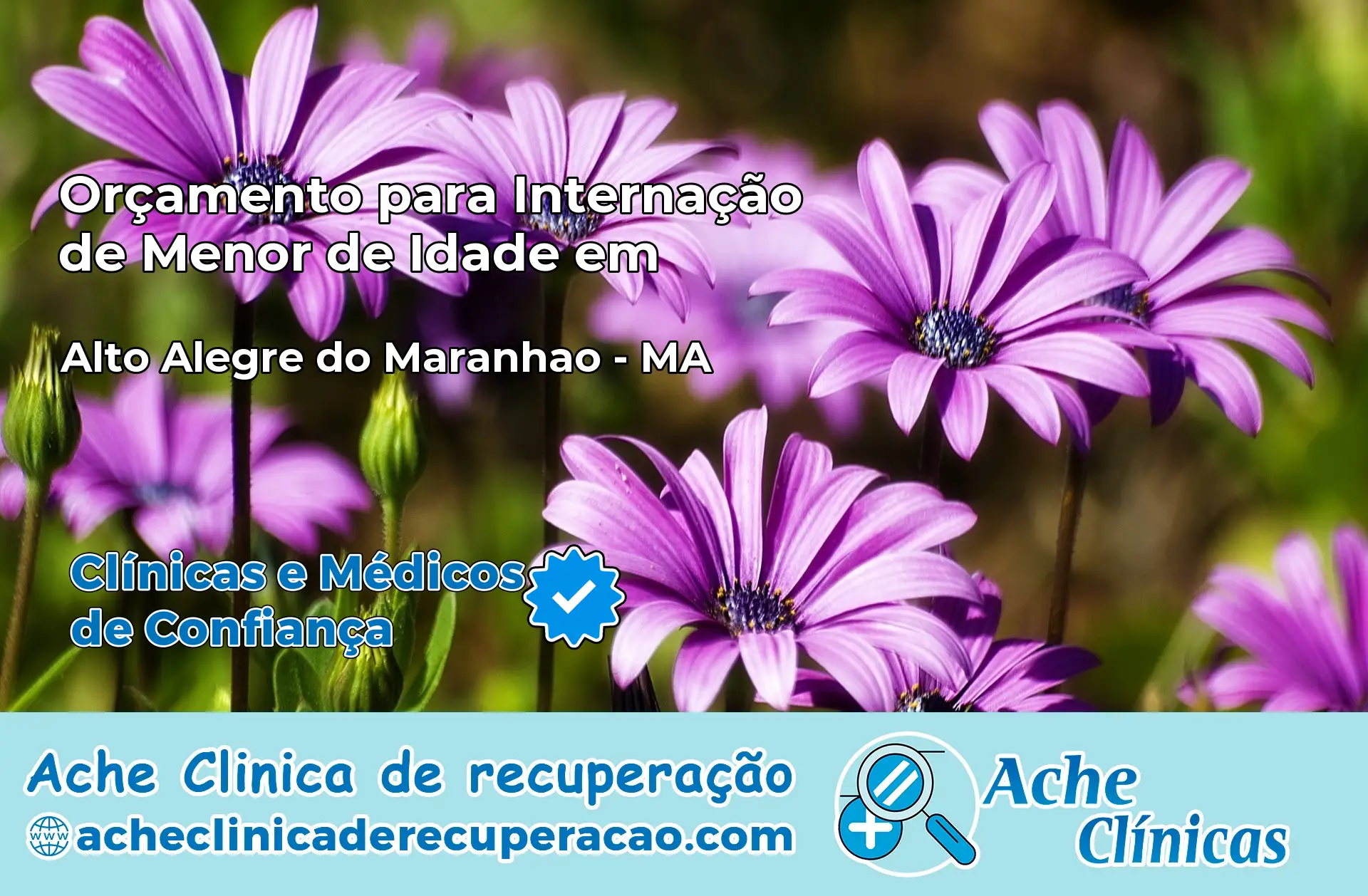 Internação de Menor de Idade em Alto Alegre do Maranhão – MA