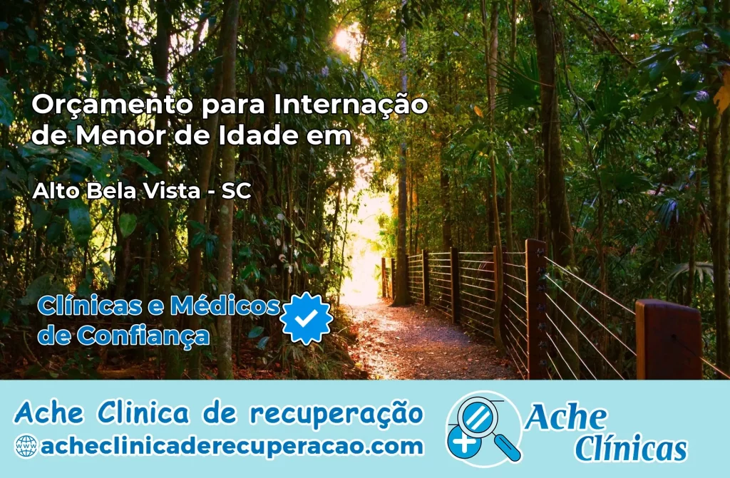 Internação de Menor de Idade em Alto Bela Vista – SC