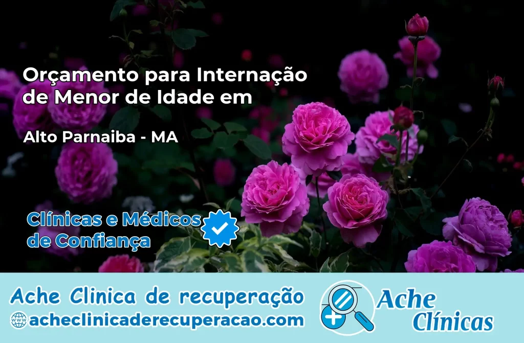 Internação de Menor de Idade em Alto Parnaíba – MA