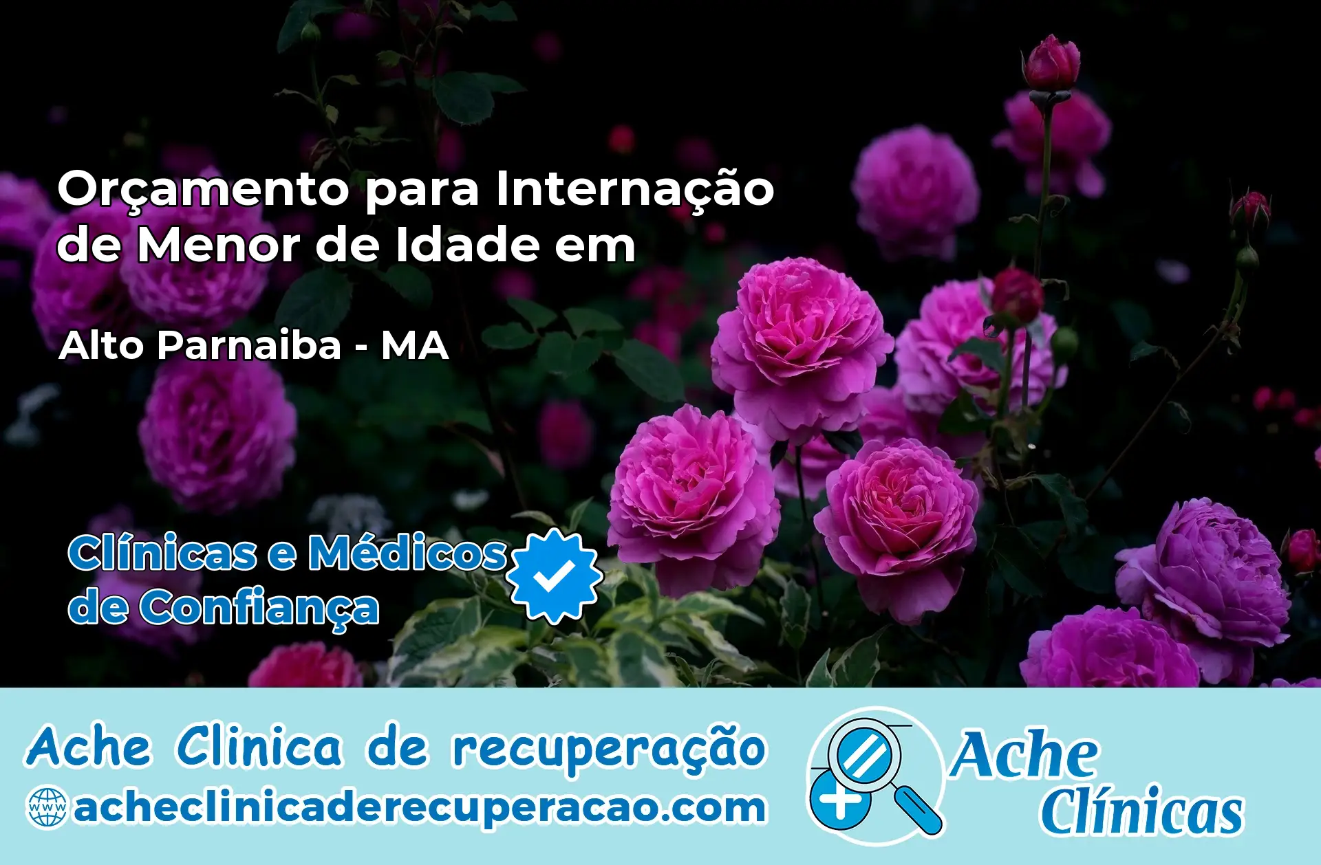 Internação de Menor de Idade em Alto Parnaíba – MA