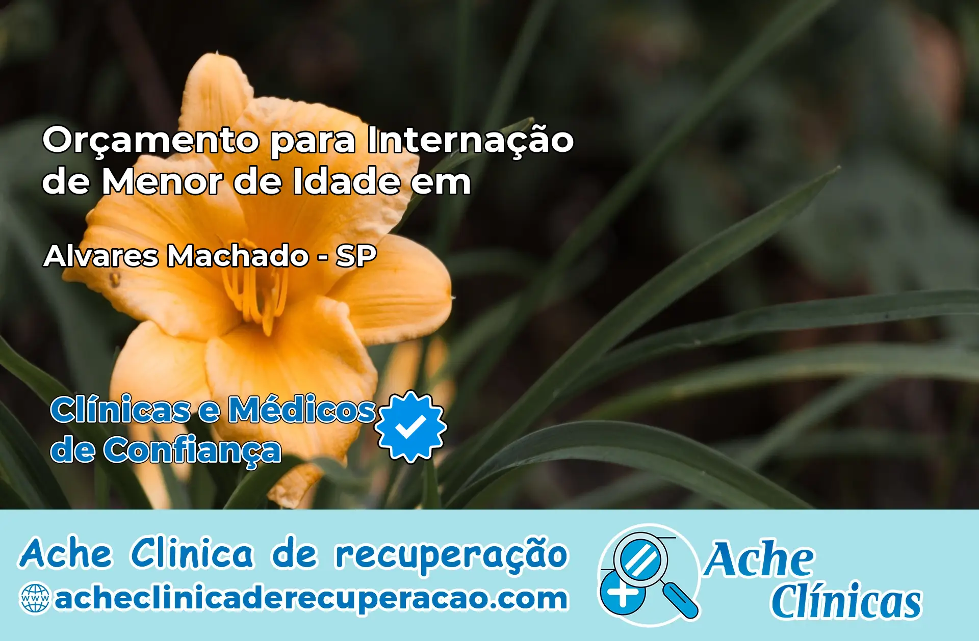 Internação de Menor de Idade em Álvares Machado – SP