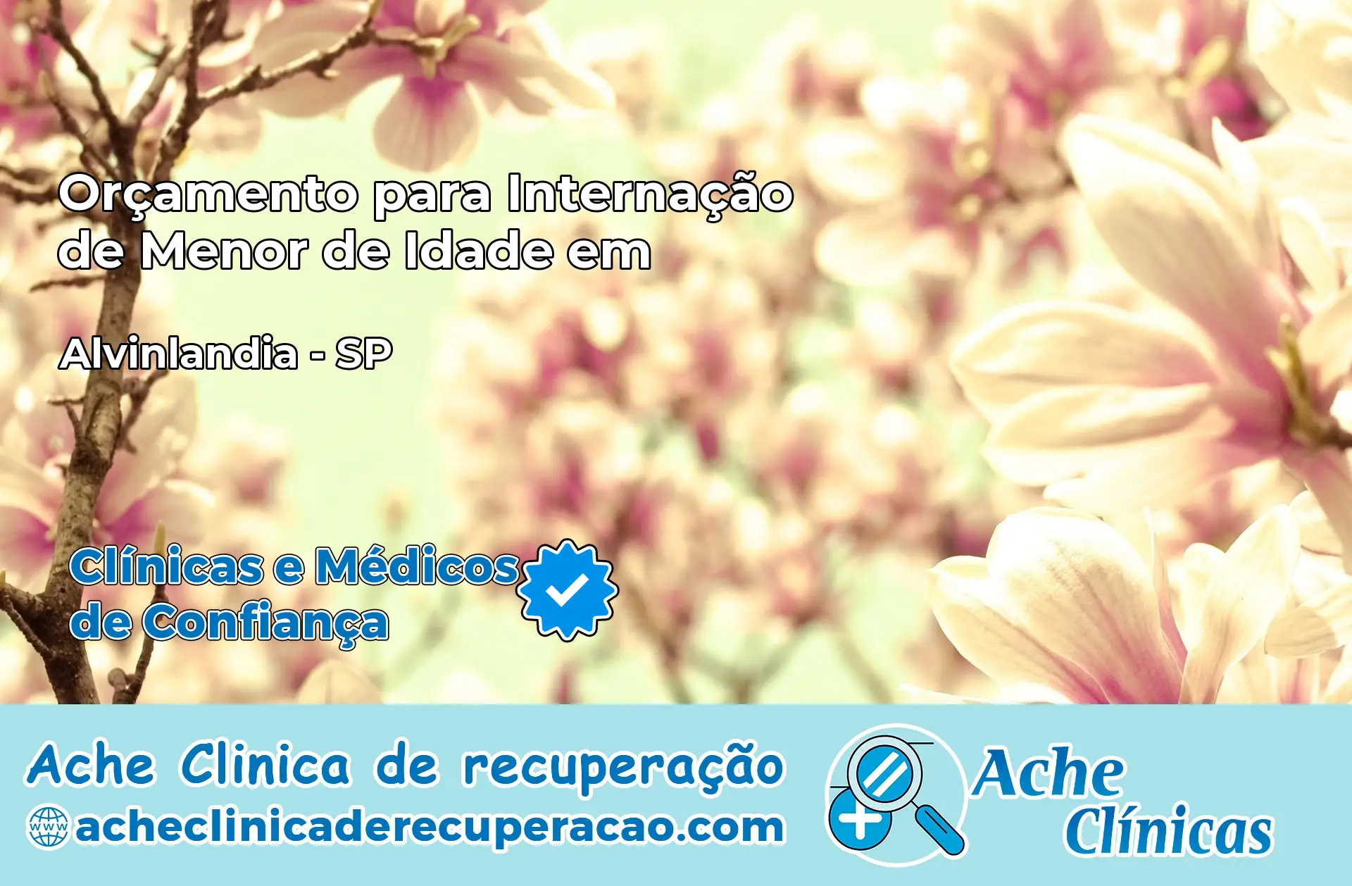 Internação de Menor de Idade em Alvinlândia – SP
