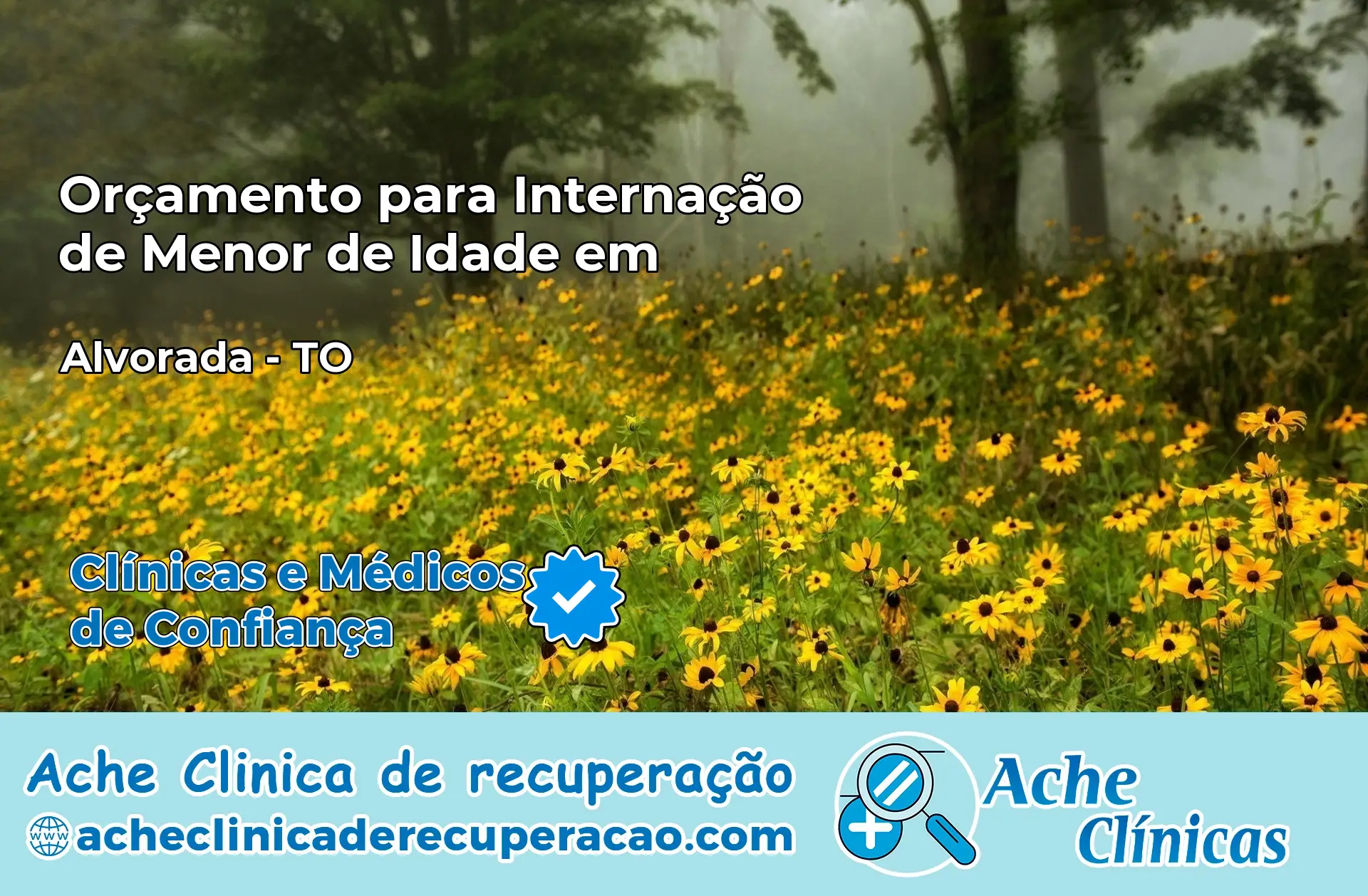 Internação de Menor de Idade em Alvorada – TO