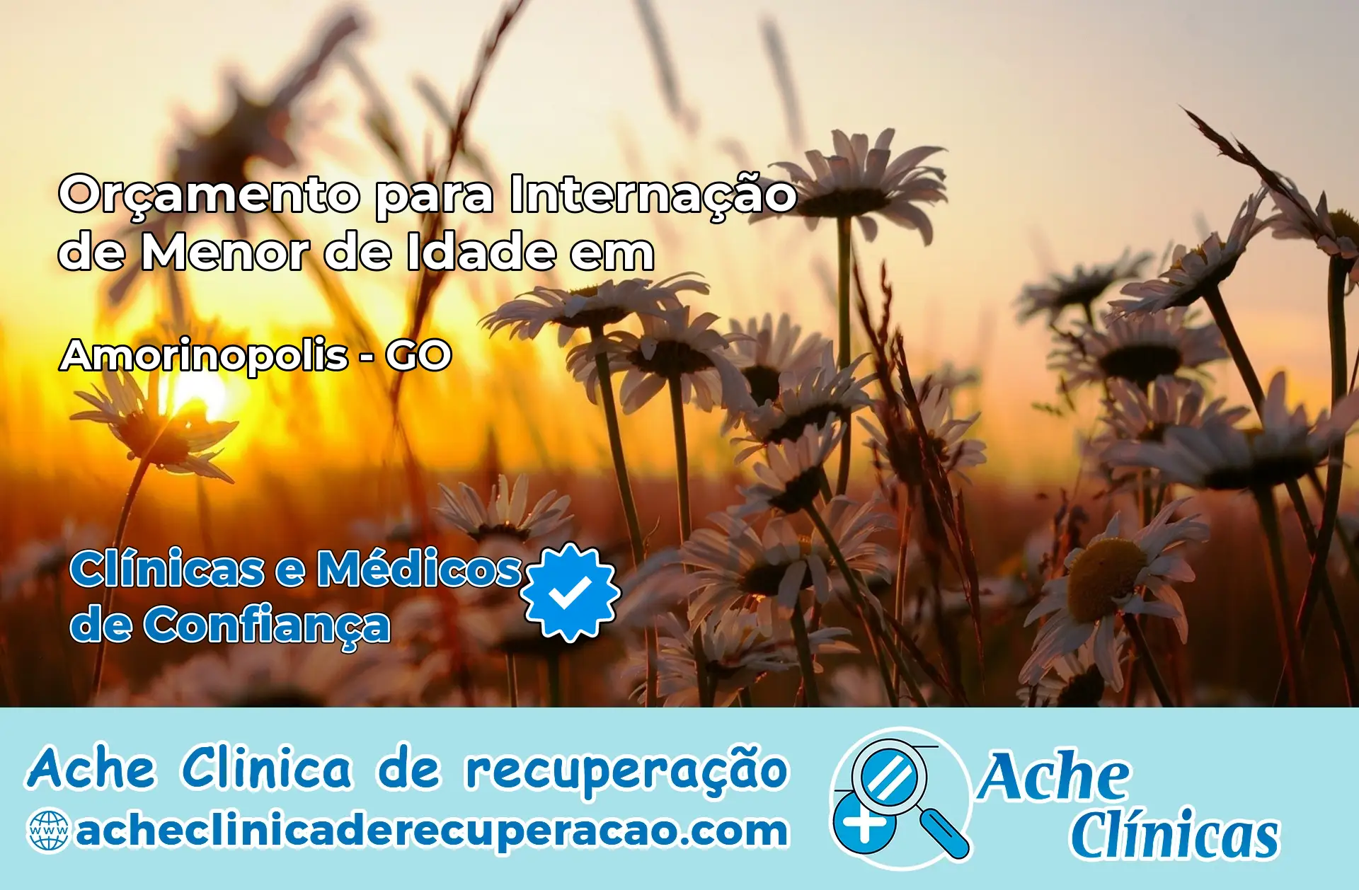 Internação de Menor de Idade em Amorinópolis – GO