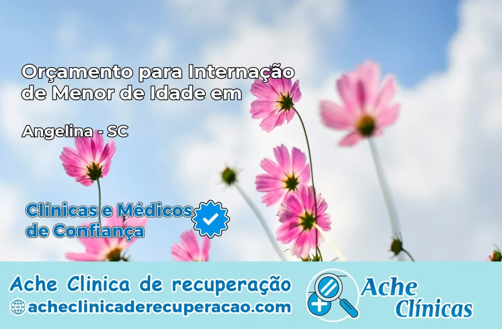 Internação de Menor de Idade em Angelina – SC