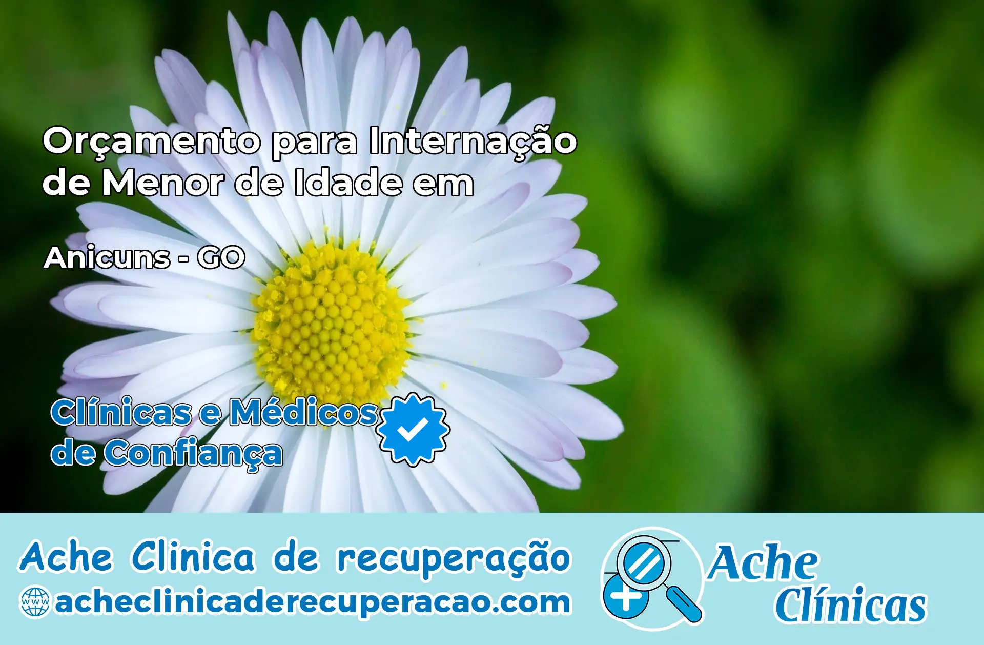 Internação de Menor de Idade em Anicuns – GO