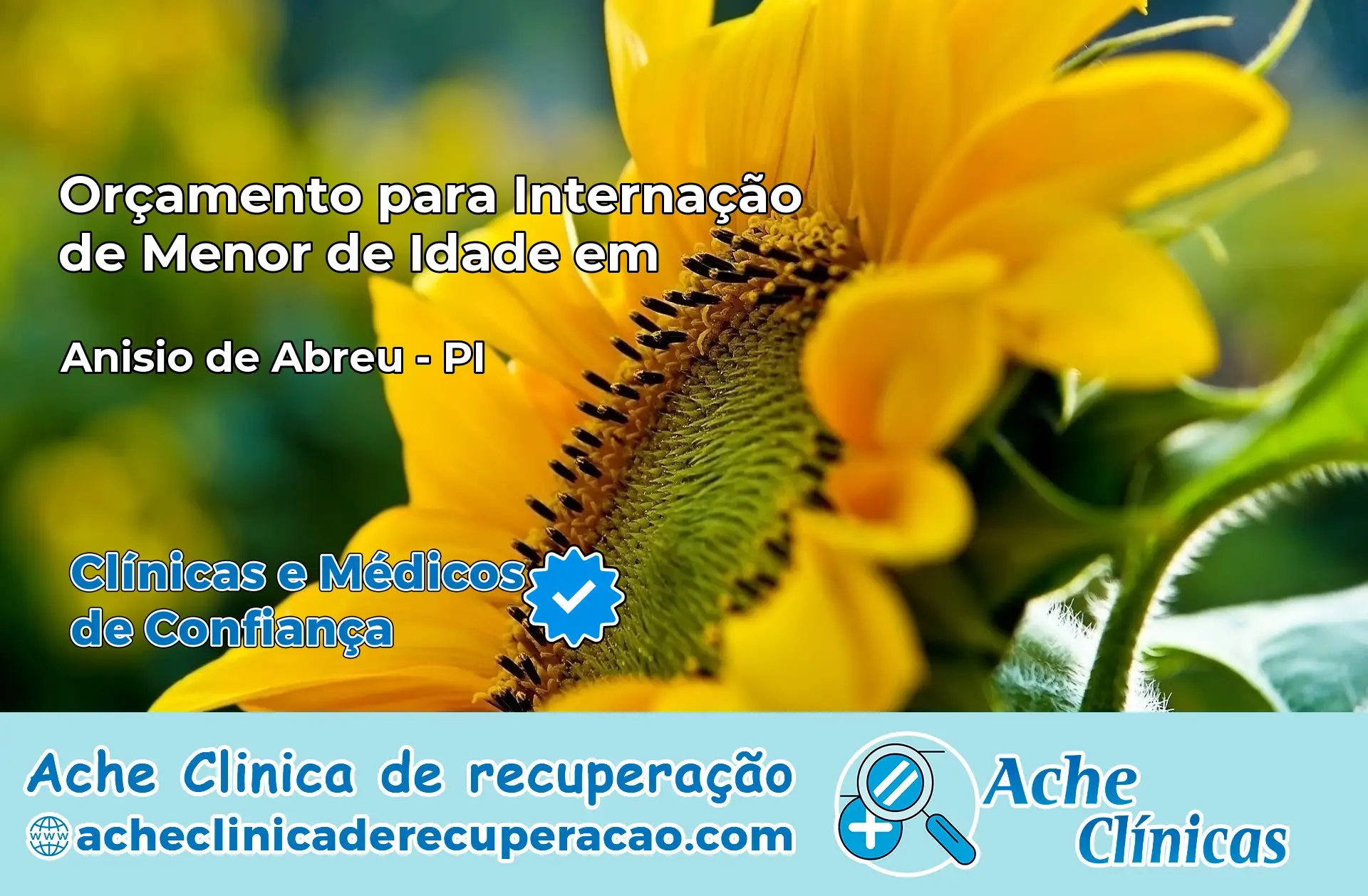 Internação de Menor de Idade em Anísio de Abreu – PI