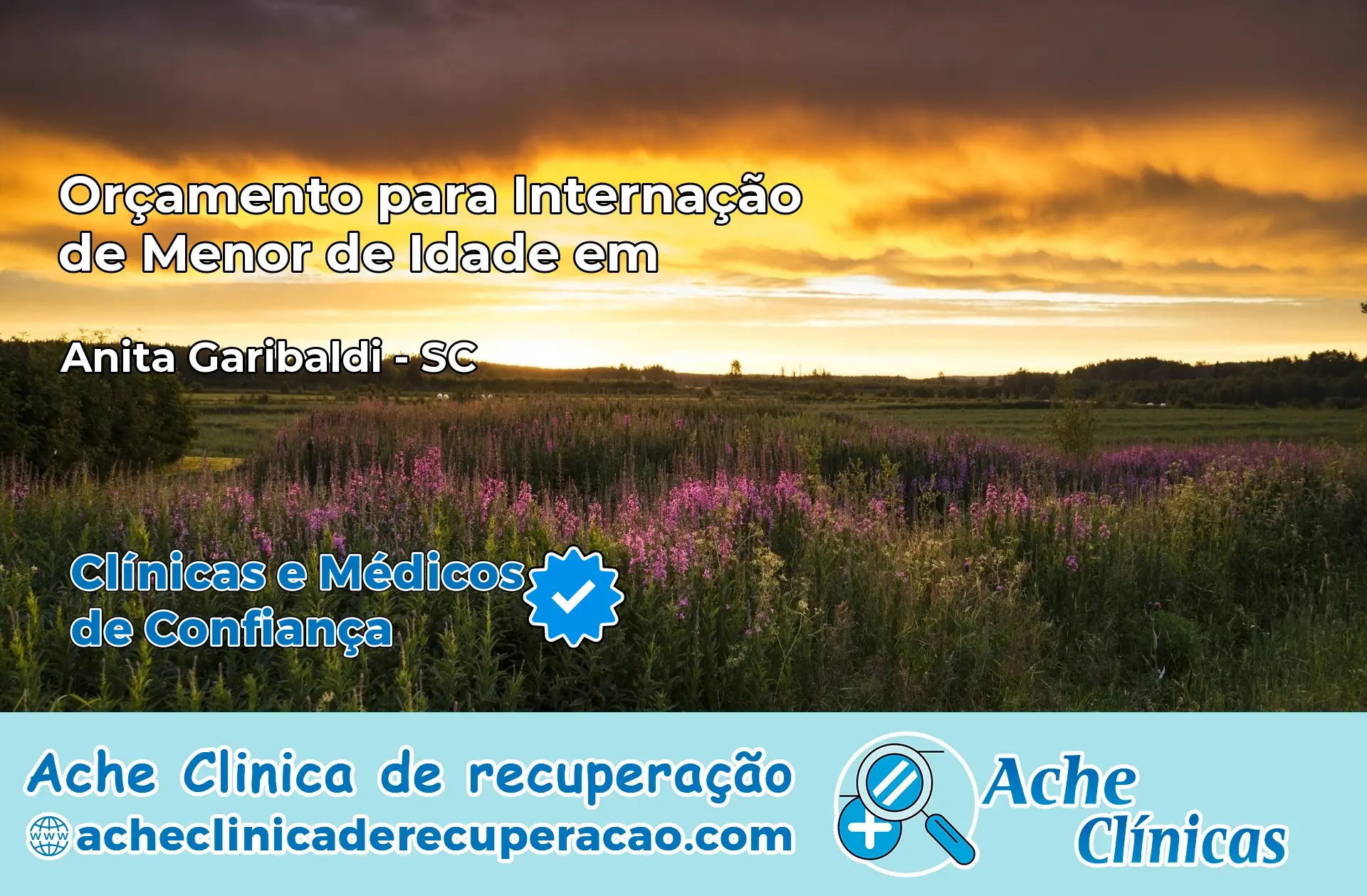 Internação de Menor de Idade em Anita Garibaldi – SC