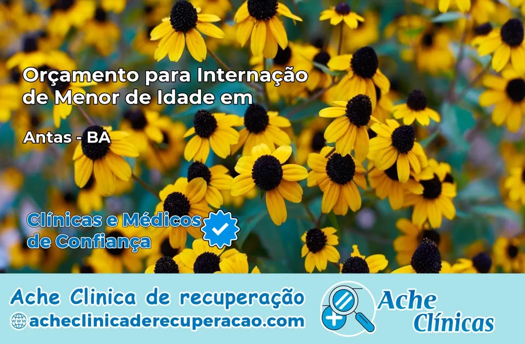 Internação de Menor de Idade em Antas – BA