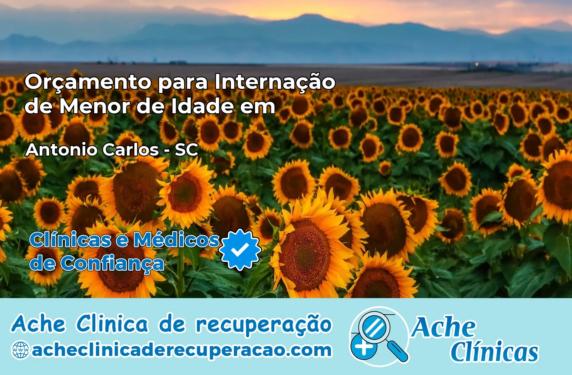 Internação de Menor de Idade em Antônio Carlos – SC
