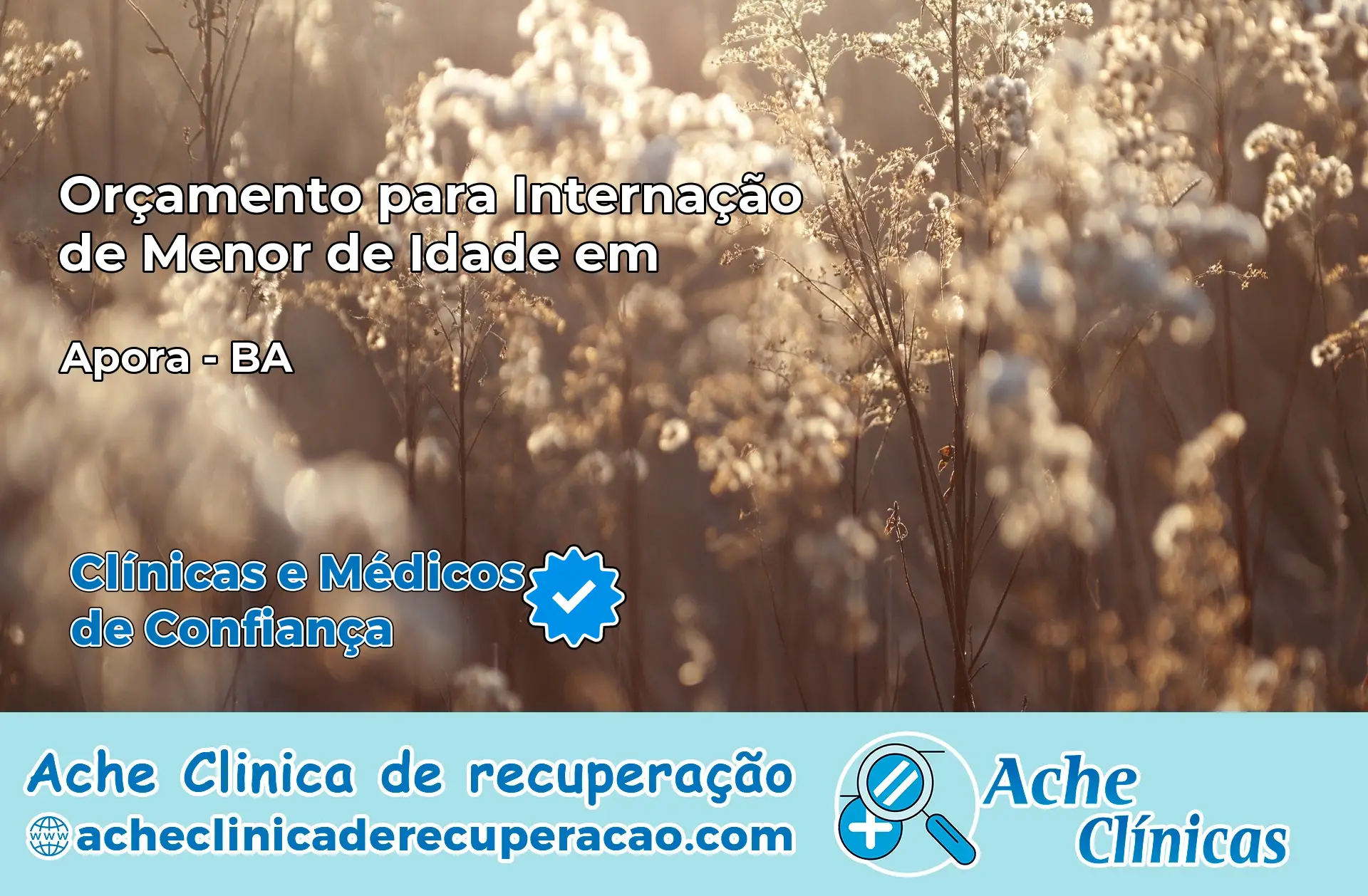 Internação de Menor de Idade em Aporá – BA