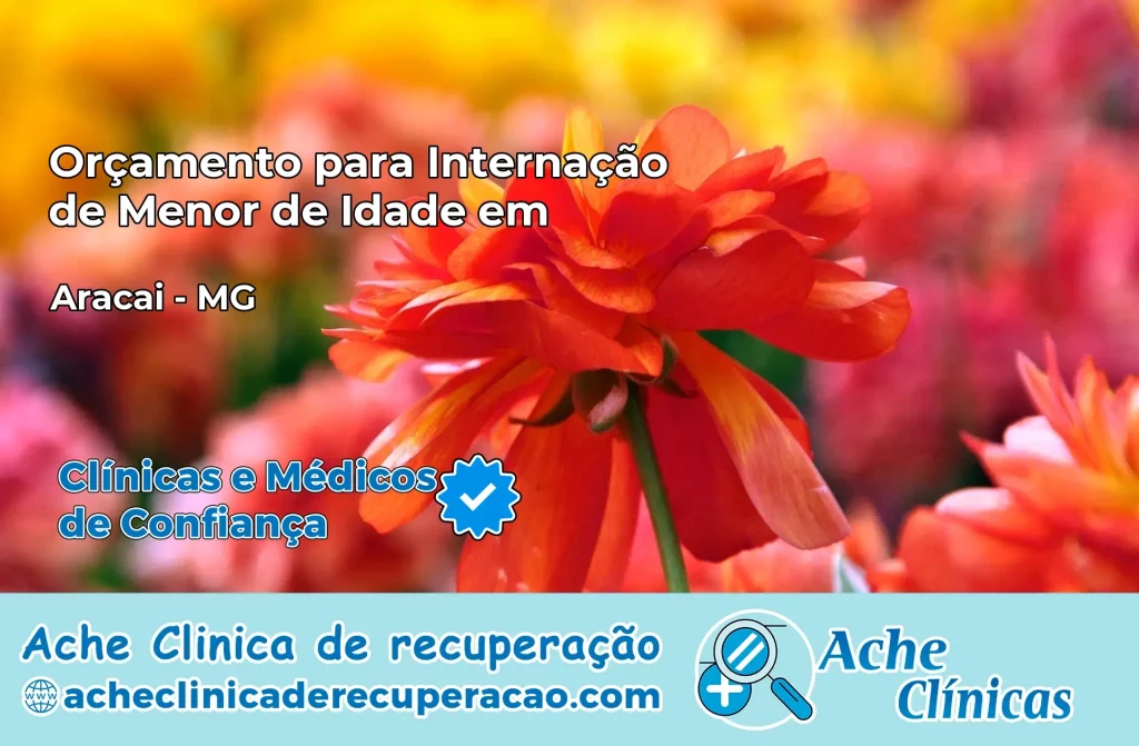 Internação de Menor de Idade em Araçaí – MG