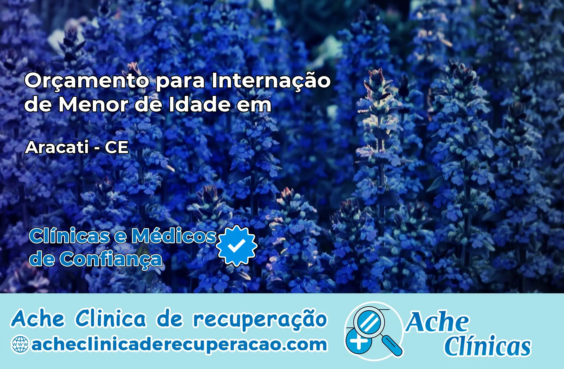 Internação de Menor de Idade em Aracati – CE