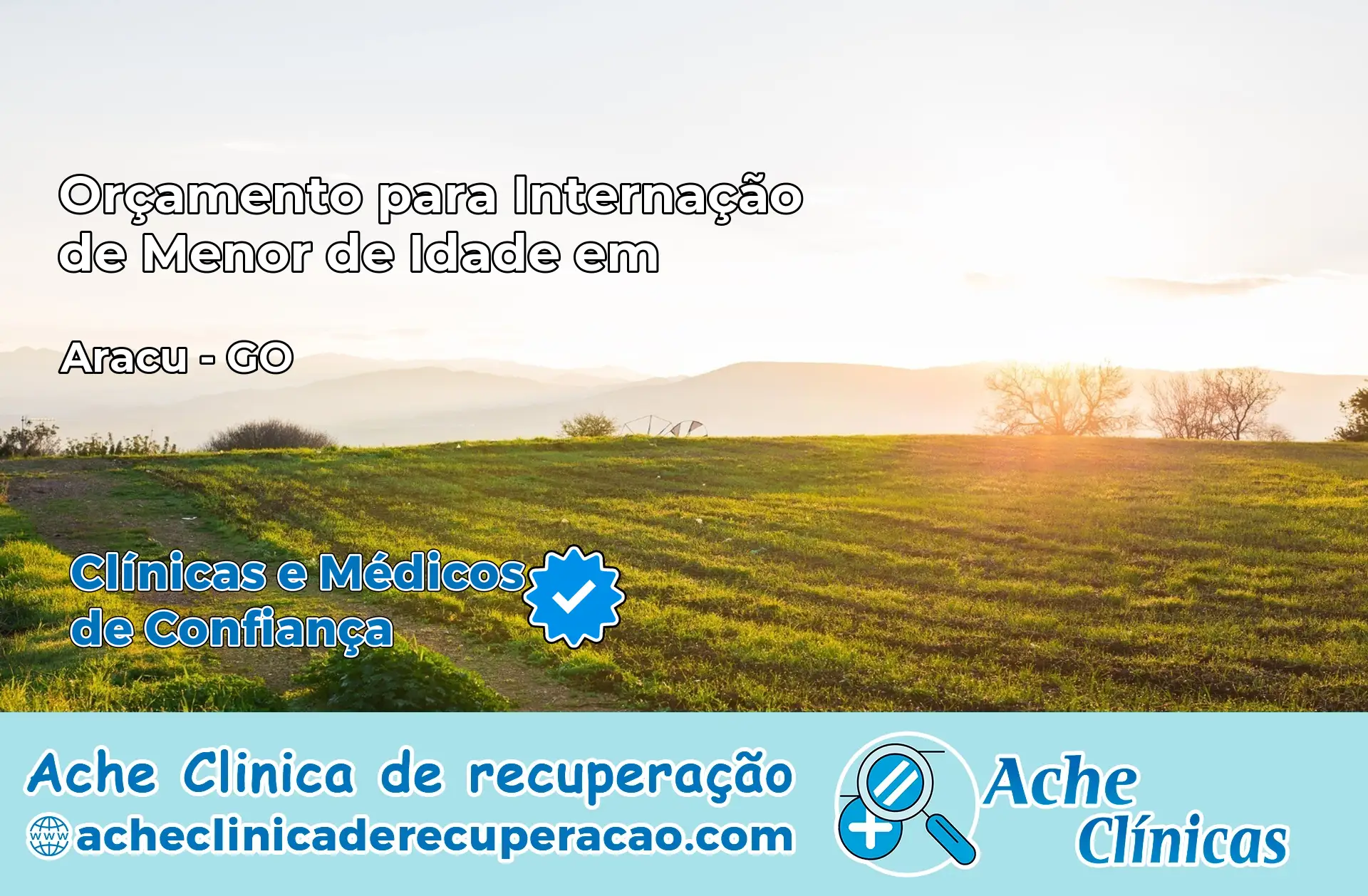 Internação de Menor de Idade em Araçu – GO