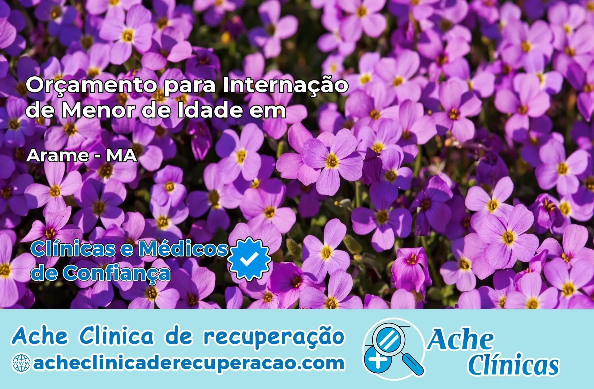 Internação de Menor de Idade em Arame – MA