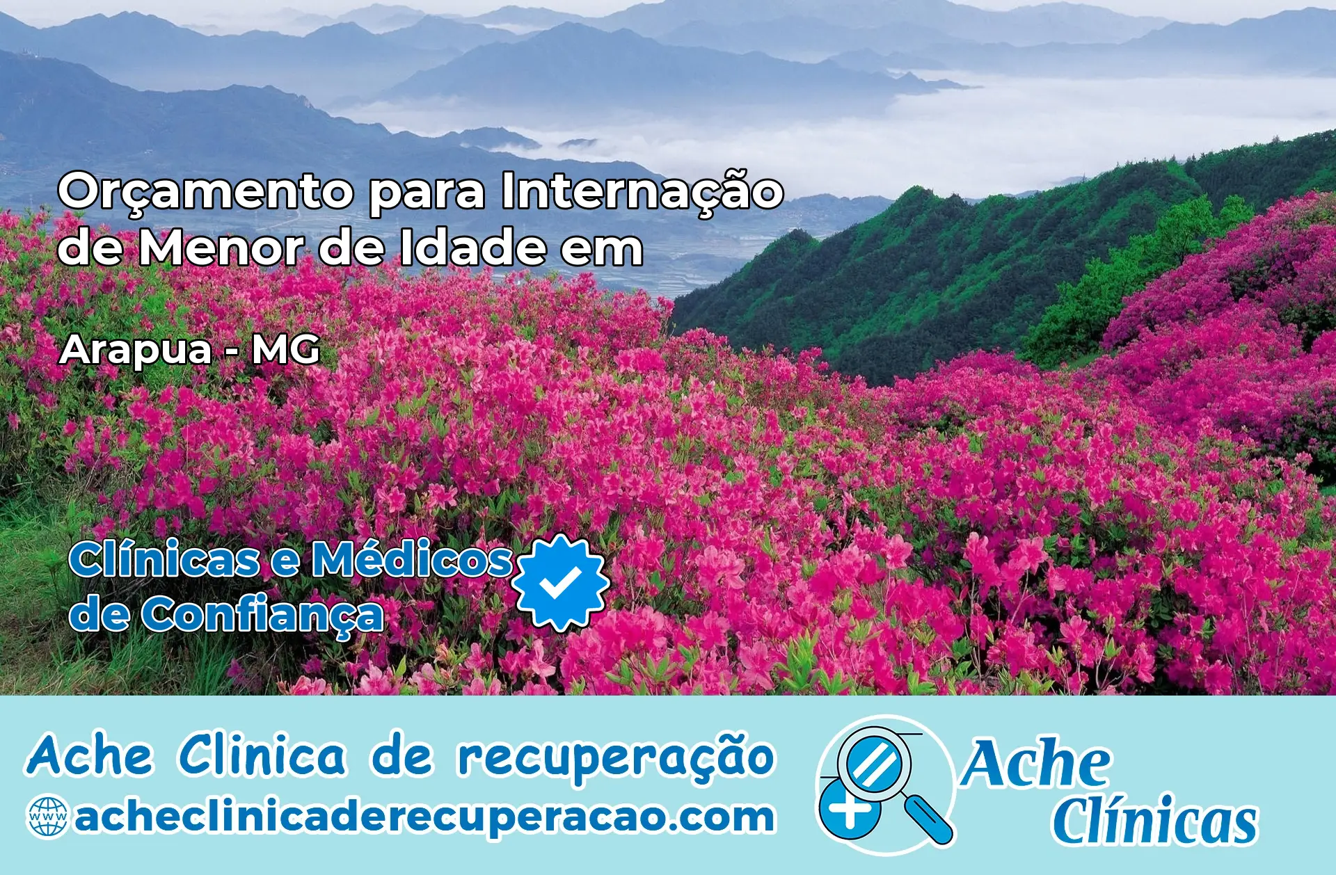 Internação de Menor de Idade em Arapuá – MG