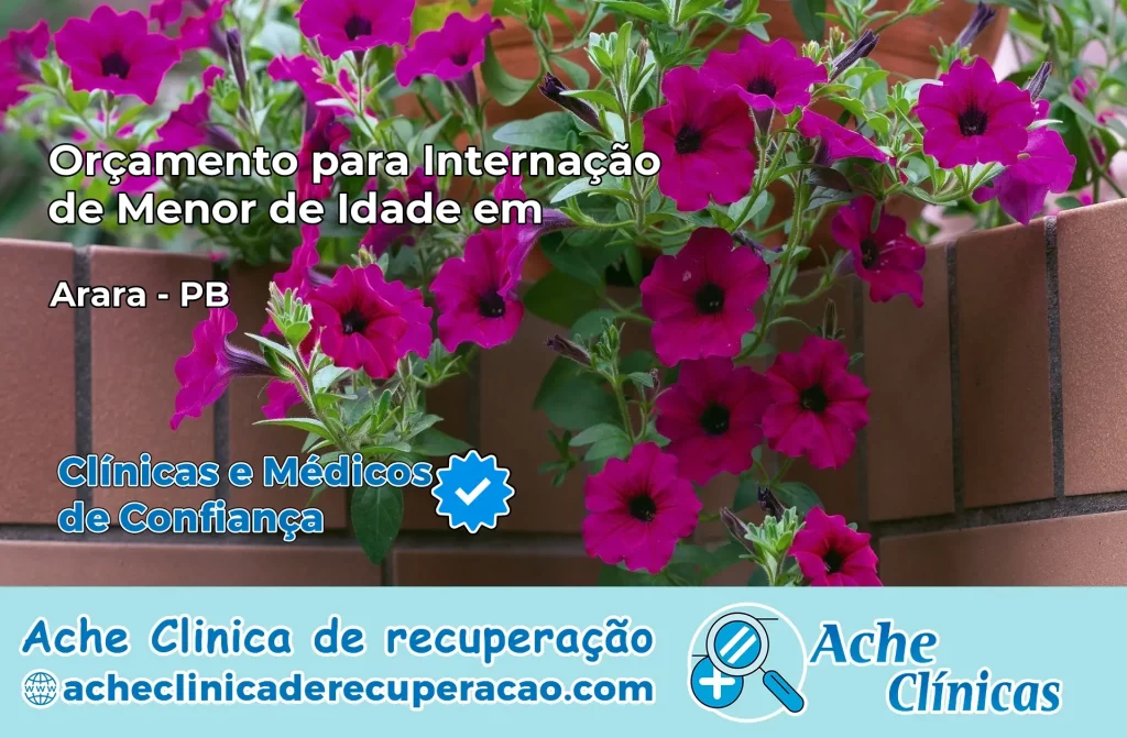 Internação de Menor de Idade em Arara – PB