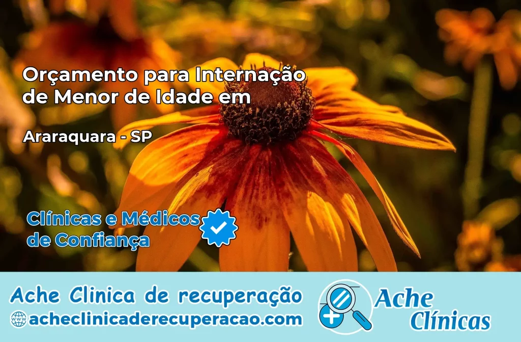 Internação de Menor de Idade em Araraquara – SP