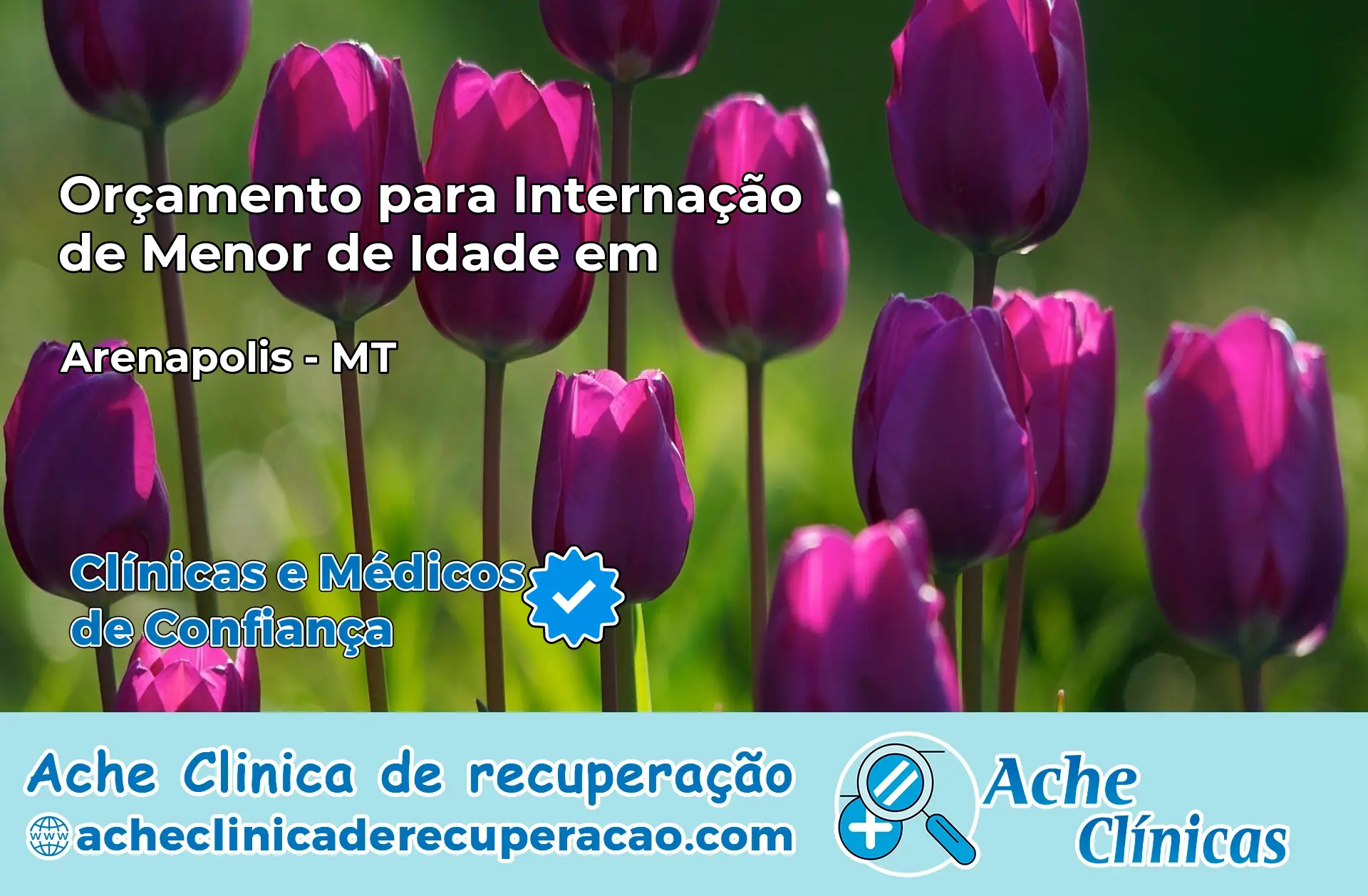 Internação de Menor de Idade em Arenápolis – MT
