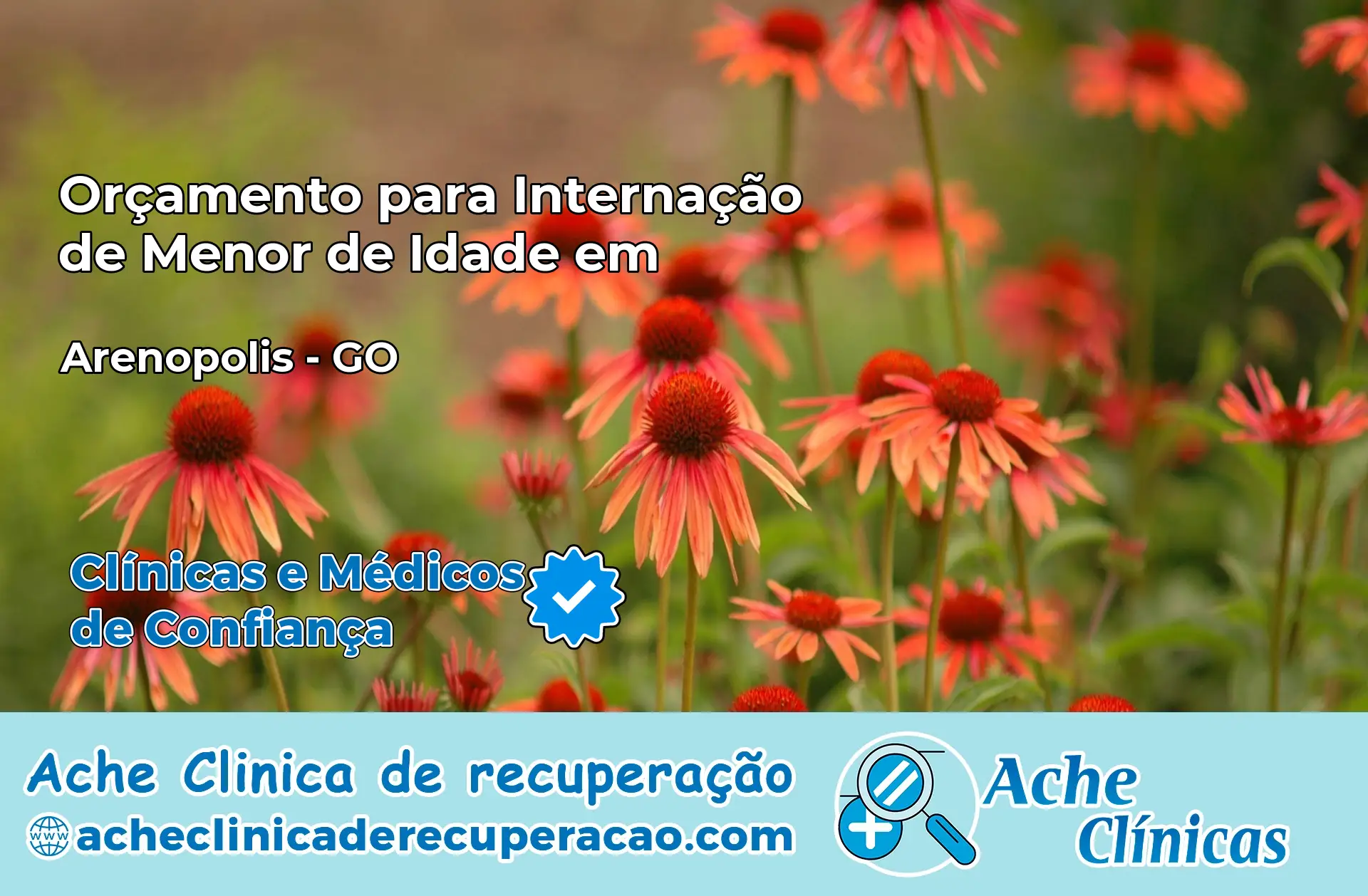 Internação de Menor de Idade em Arenópolis – GO