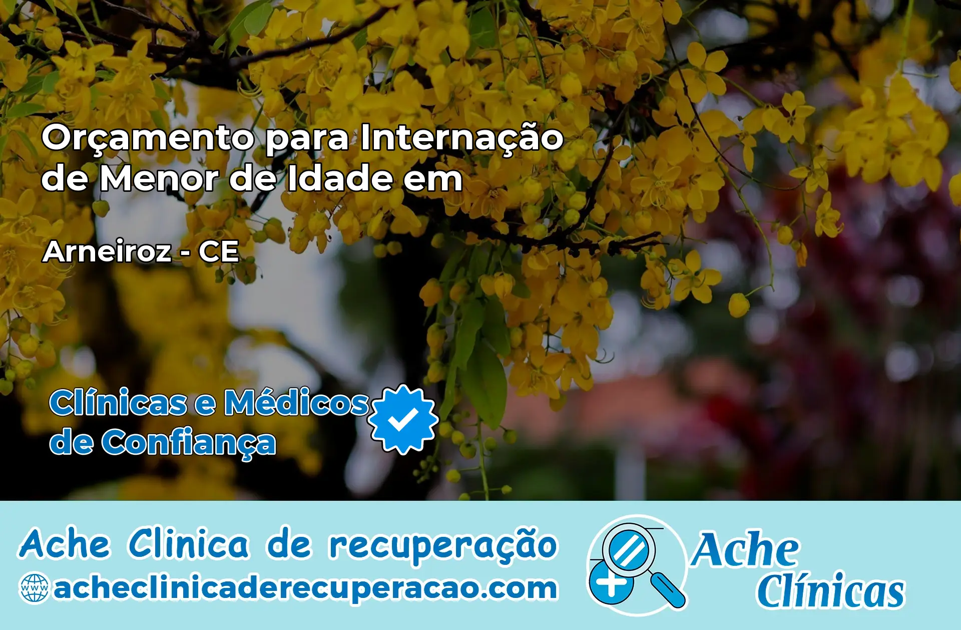 Internação de Menor de Idade em Arneiroz – CE