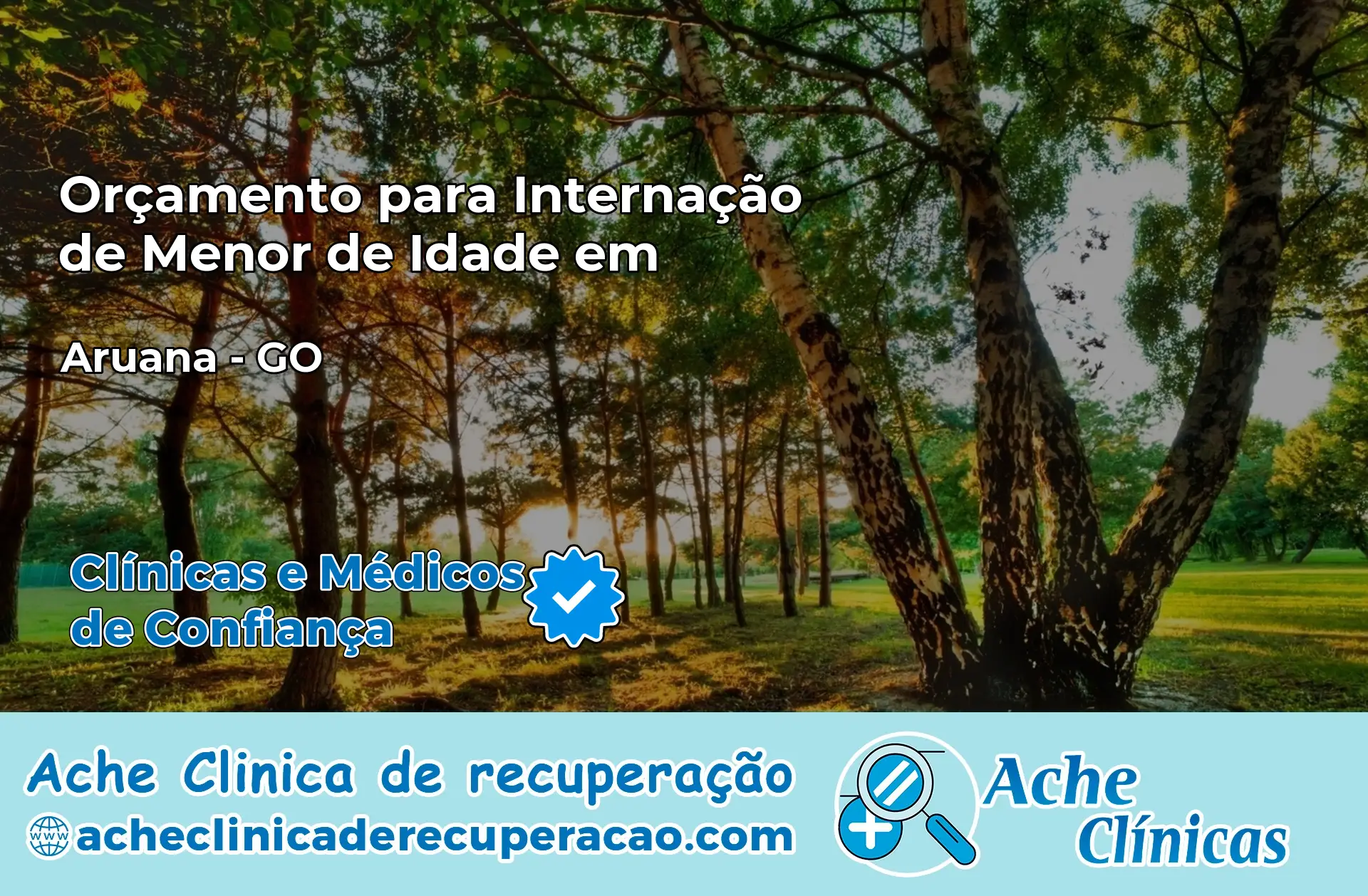 Internação de Menor de Idade em Aruanã – GO