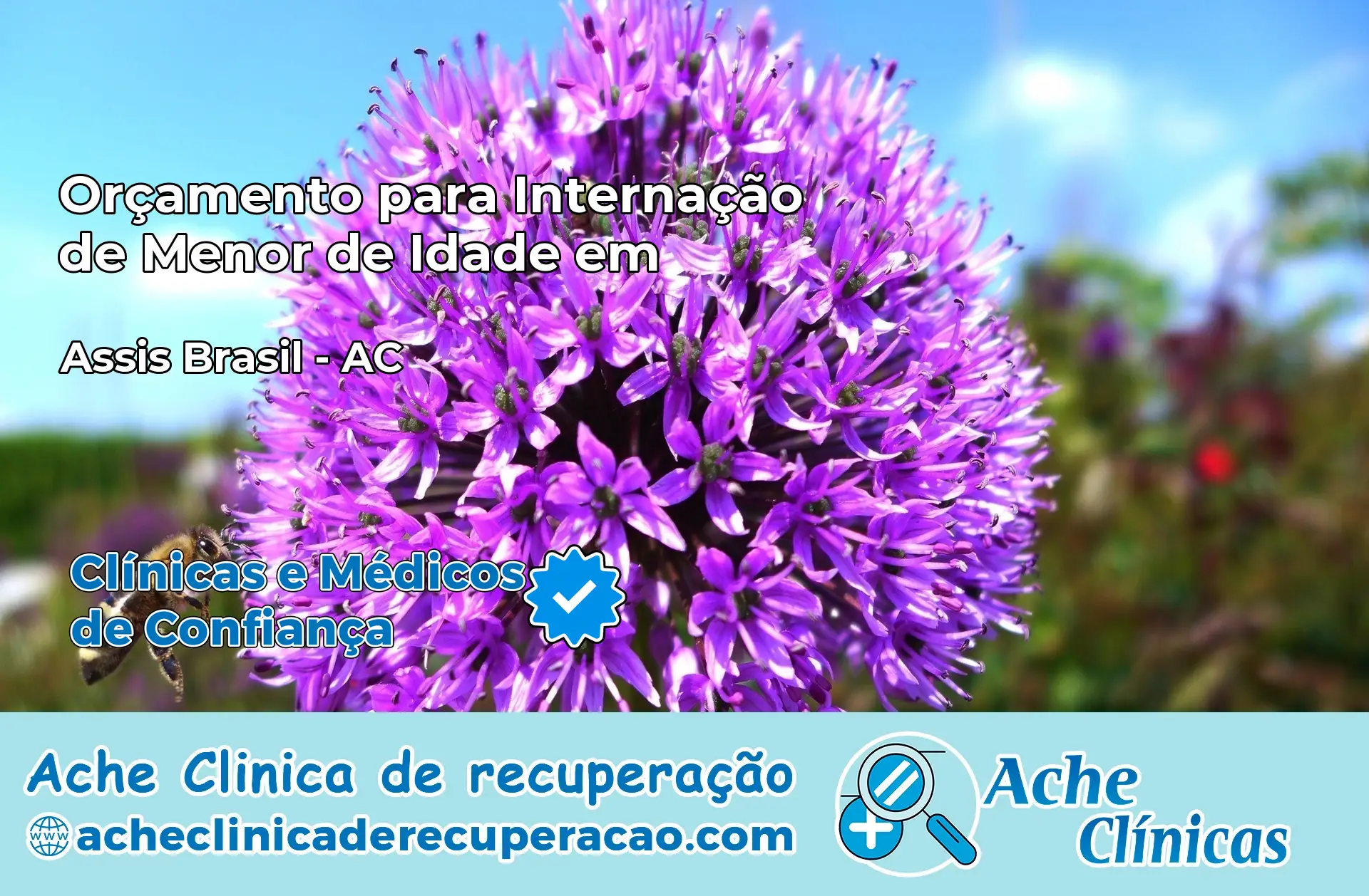 Internação de Menor de Idade em Assis Brasil – AC