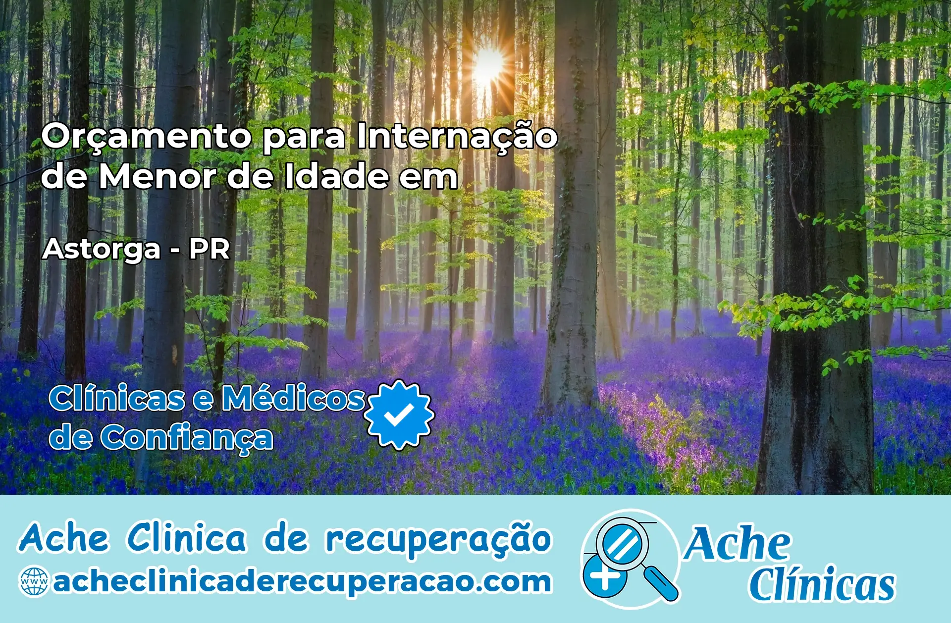 Internação de Menor de Idade em Astorga – PR